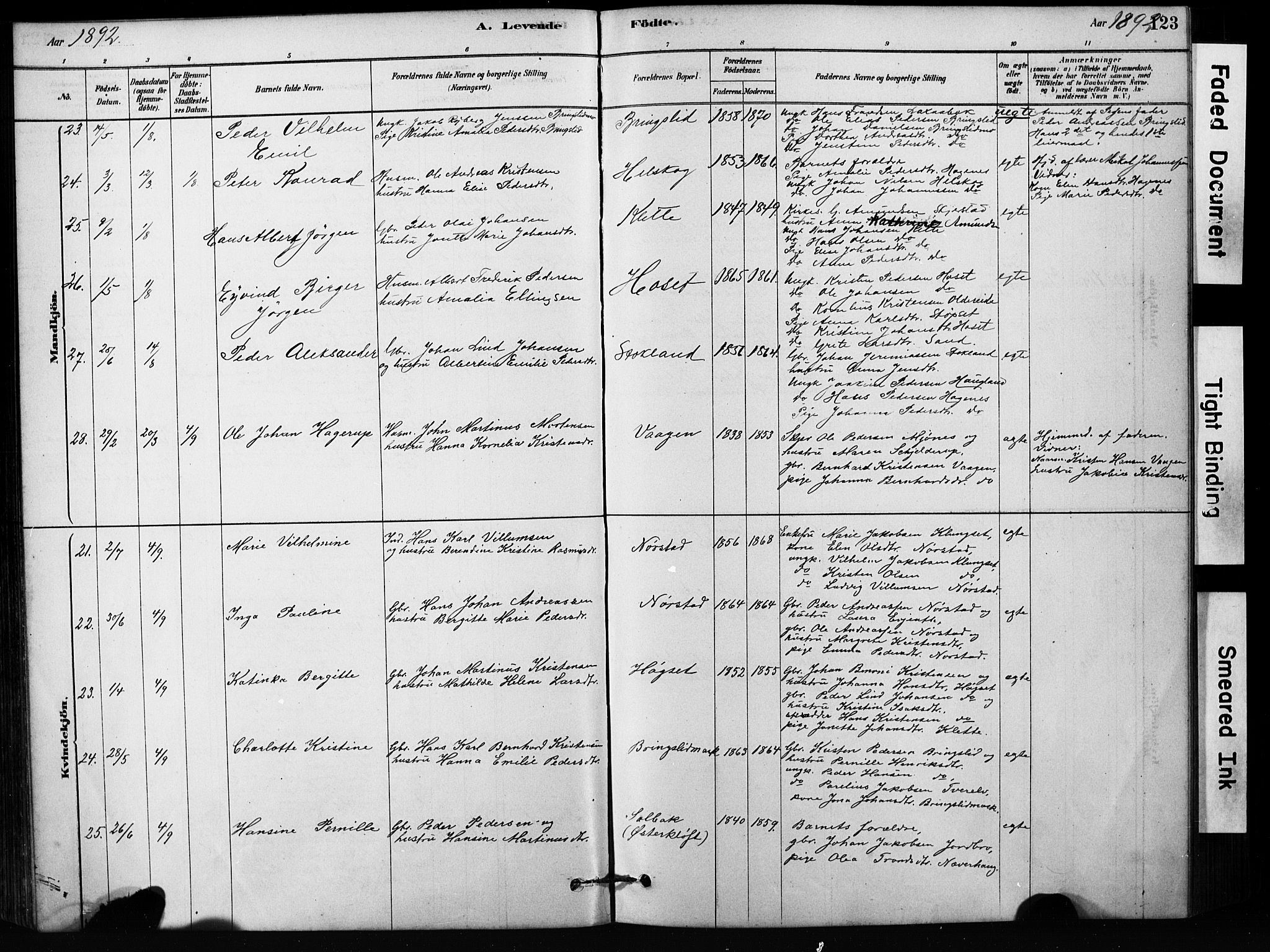 Ministerialprotokoller, klokkerbøker og fødselsregistre - Nordland, SAT/A-1459/852/L0754: Parish register (copy) no. 852C05, 1878-1894, p. 123