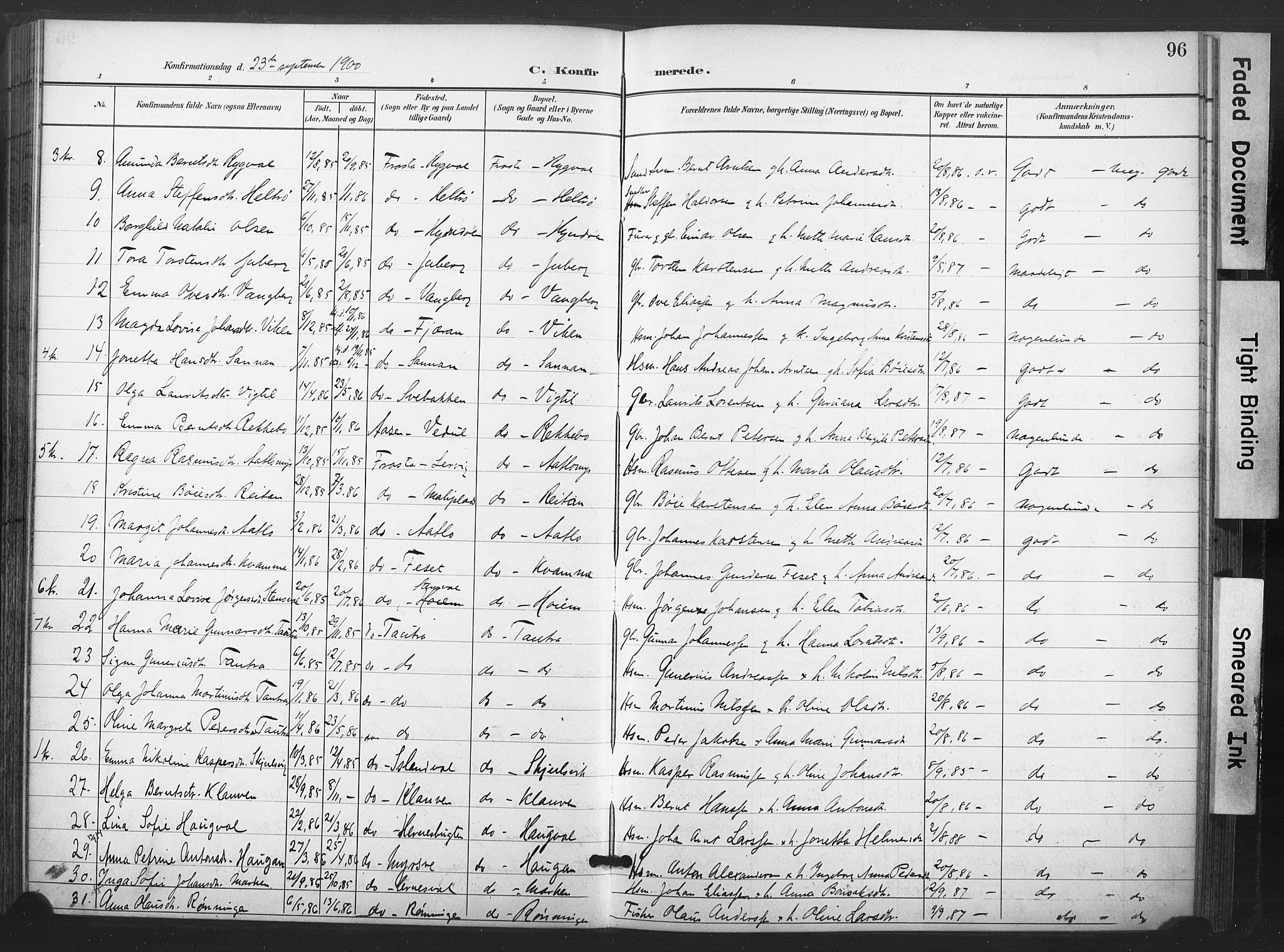 Ministerialprotokoller, klokkerbøker og fødselsregistre - Nord-Trøndelag, SAT/A-1458/713/L0122: Parish register (official) no. 713A11, 1899-1910, p. 96