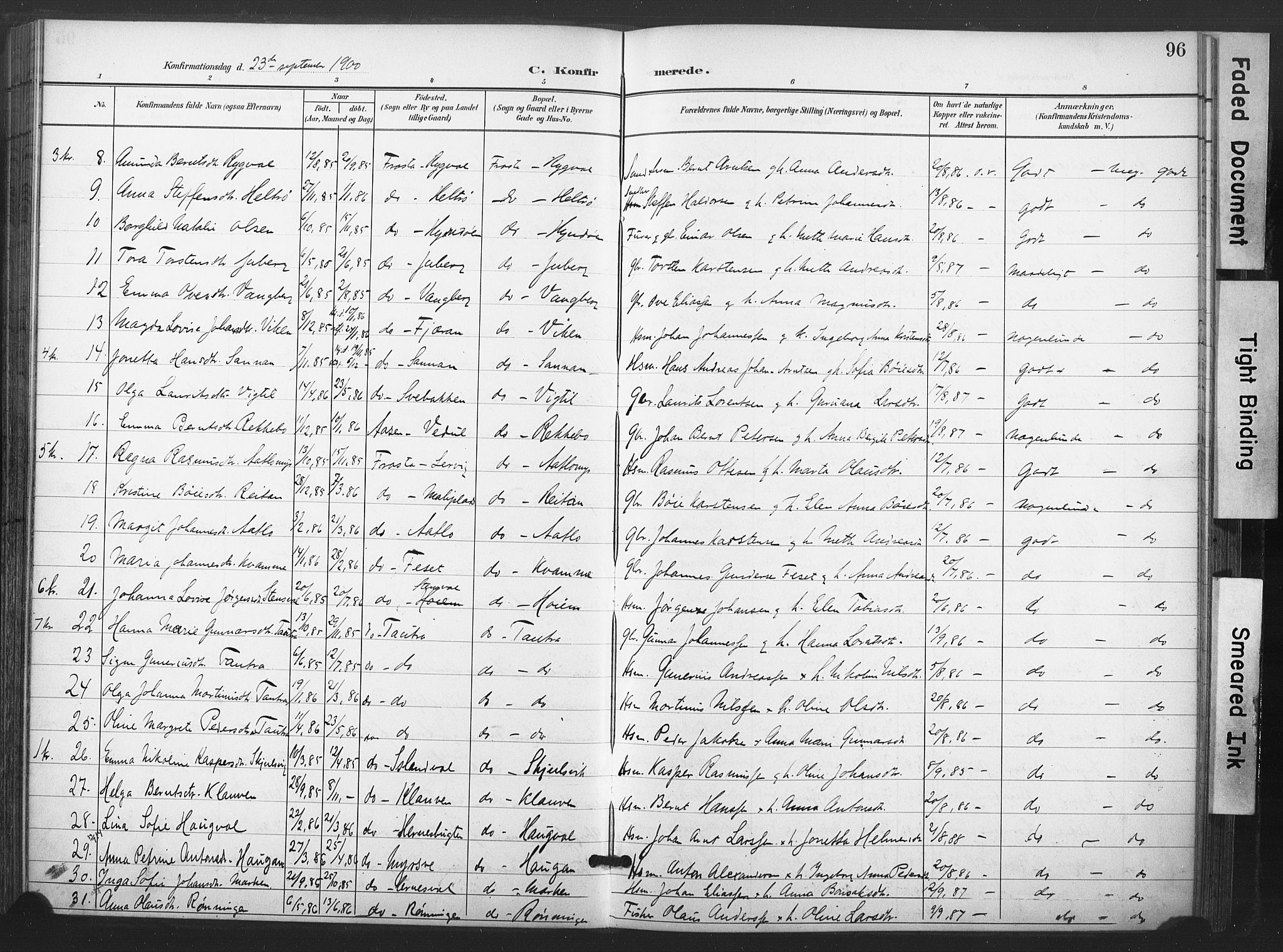 Ministerialprotokoller, klokkerbøker og fødselsregistre - Nord-Trøndelag, AV/SAT-A-1458/713/L0122: Parish register (official) no. 713A11, 1899-1910, p. 96