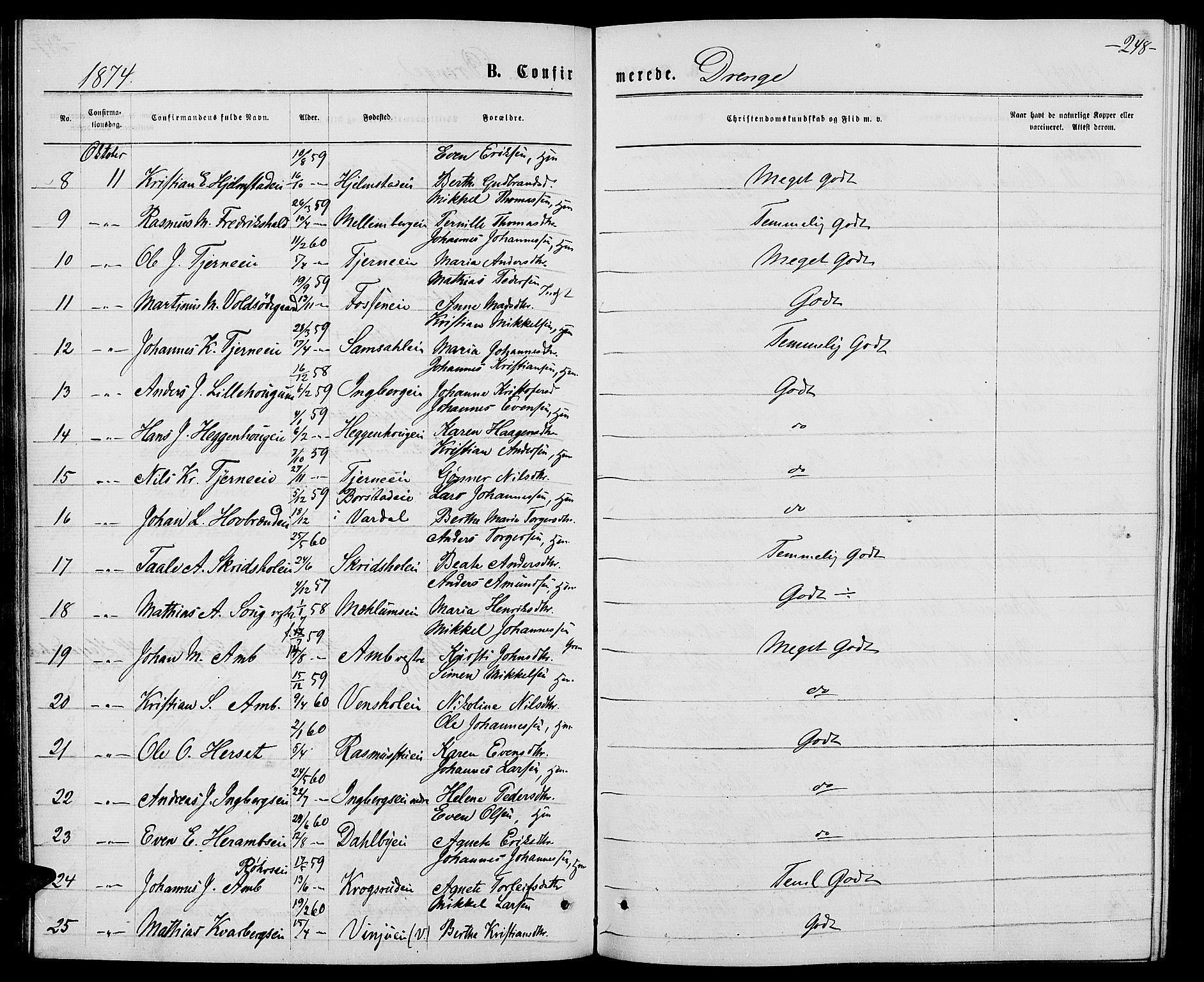 Ringsaker prestekontor, AV/SAH-PREST-014/L/La/L0008: Parish register (copy) no. 8, 1870-1878, p. 248