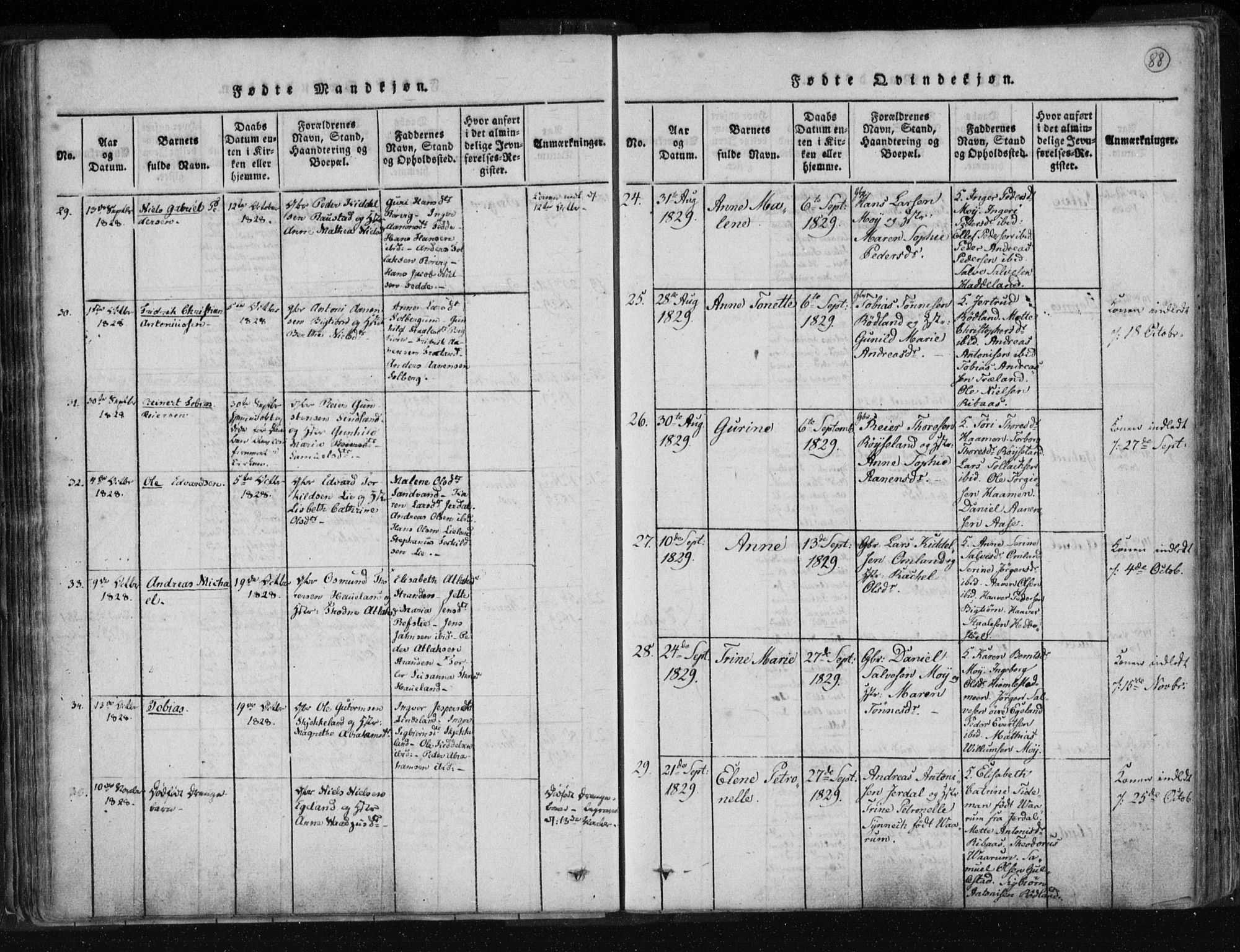 Kvinesdal sokneprestkontor, AV/SAK-1111-0026/F/Fa/Fab/L0003: Parish register (official) no. A 3, 1815-1829, p. 88