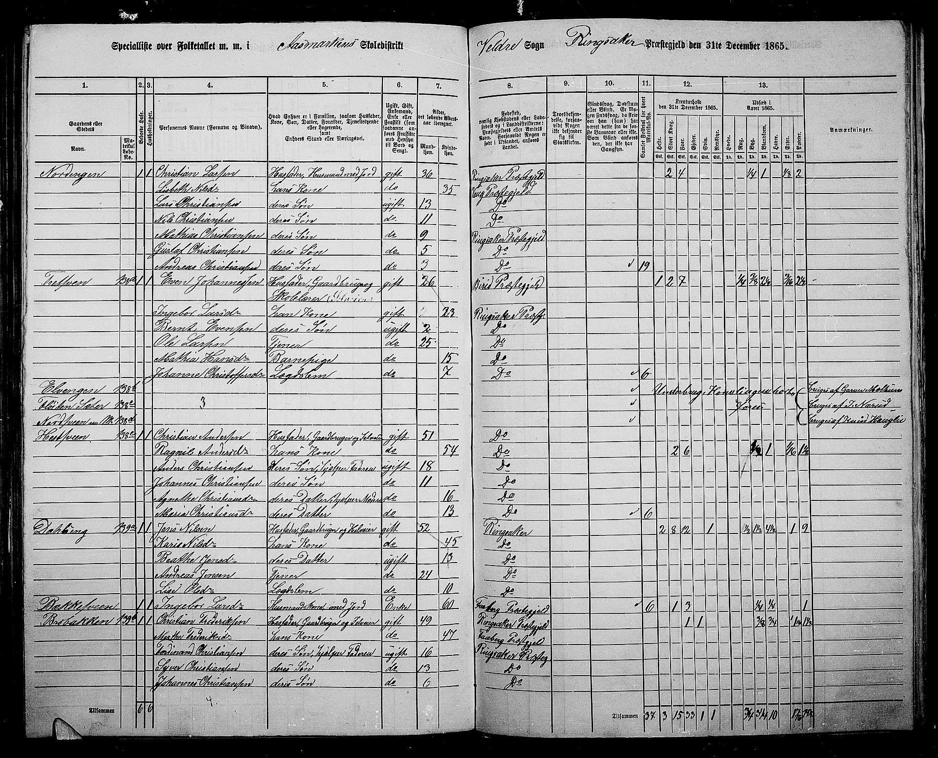 RA, 1865 census for Ringsaker, 1865, p. 208