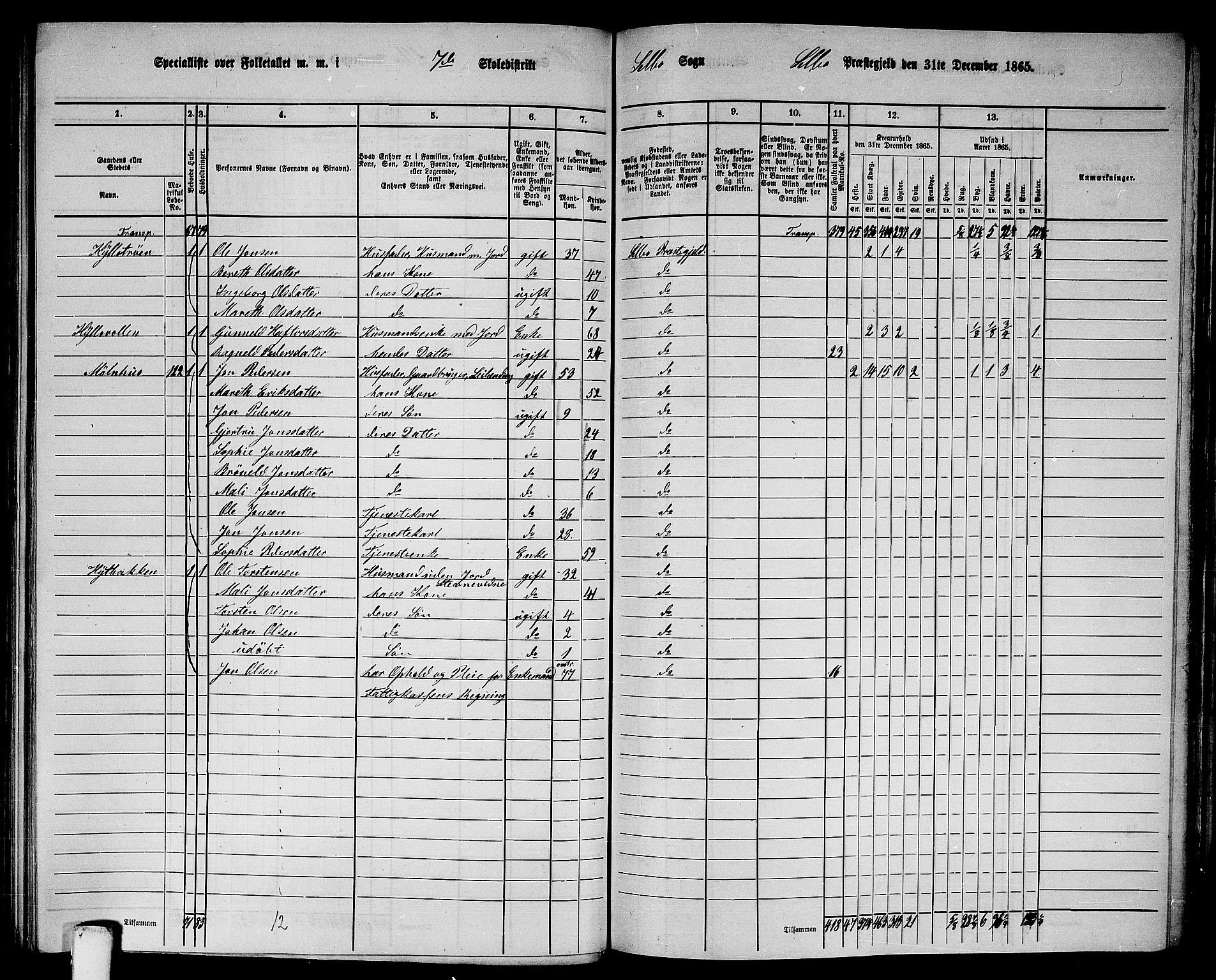 RA, 1865 census for Selbu, 1865, p. 131