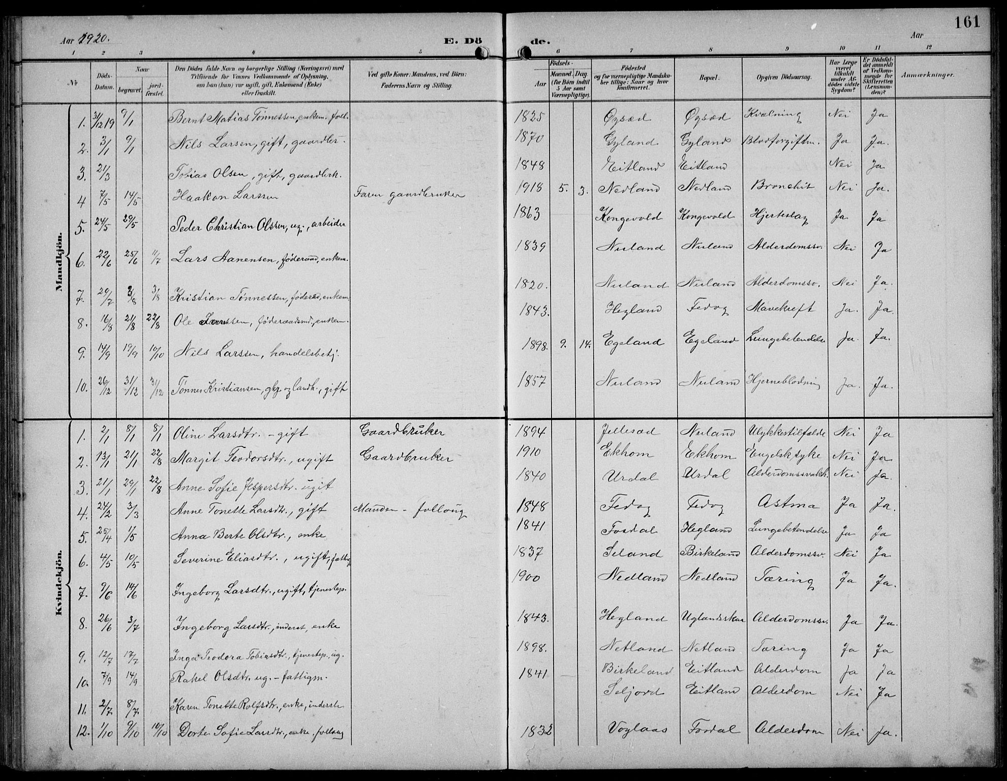 Bakke sokneprestkontor, SAK/1111-0002/F/Fb/Fbb/L0004: Parish register (copy) no. B 4, 1896-1927, p. 161