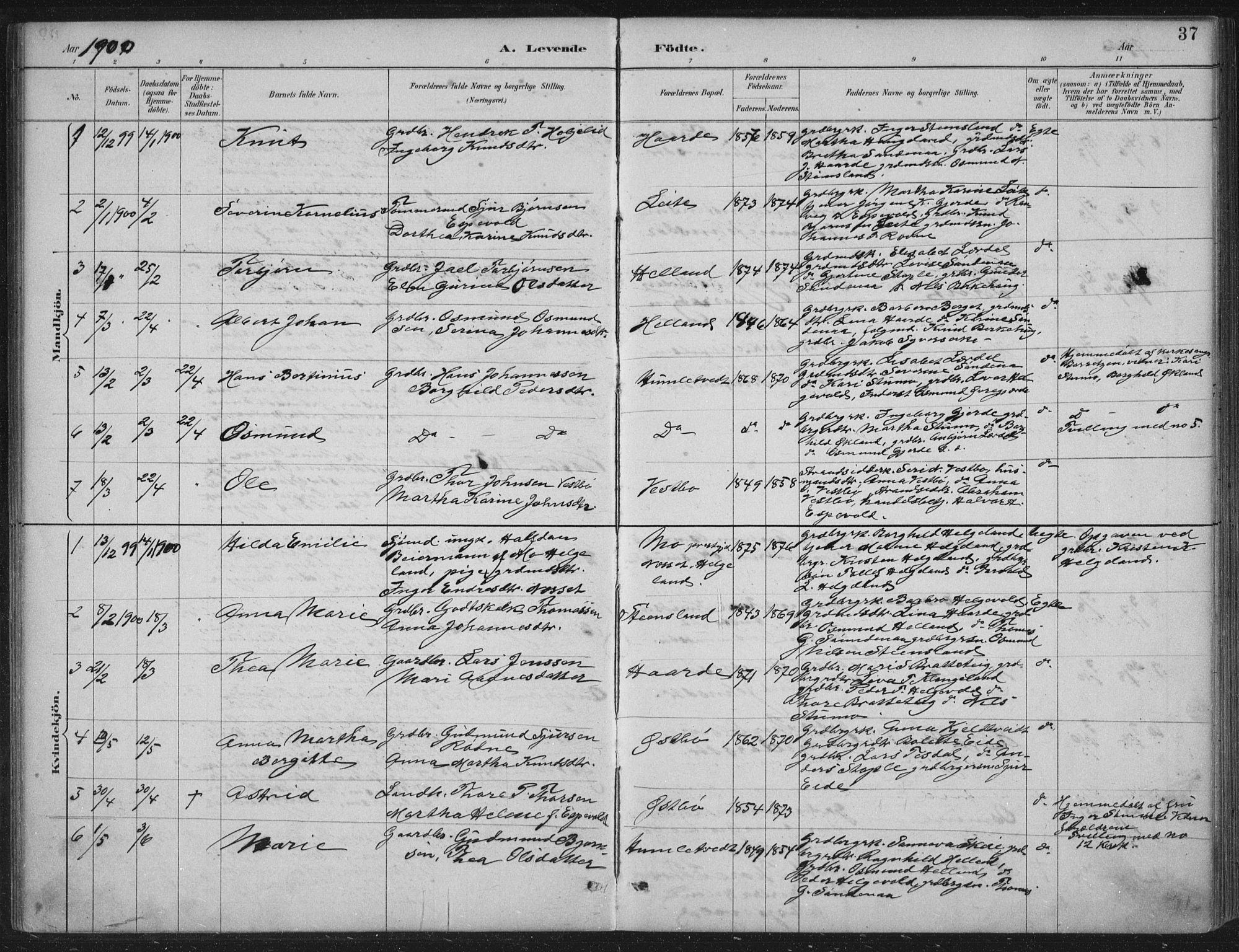 Vikedal sokneprestkontor, AV/SAST-A-101840/01/IV: Parish register (official) no. A 11, 1884-1933, p. 37