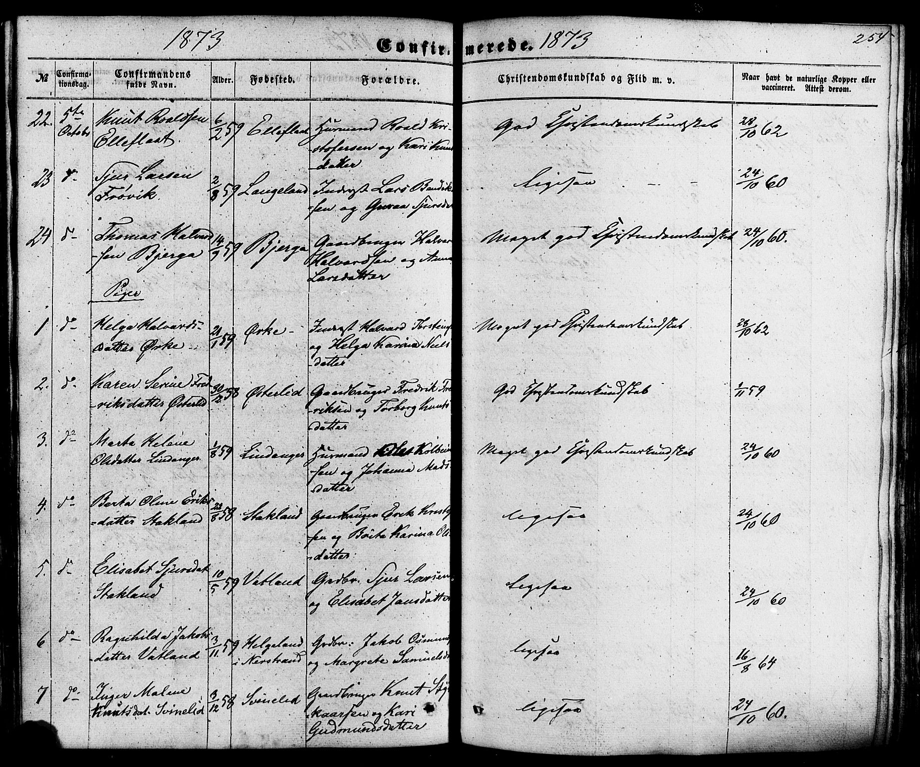 Skjold sokneprestkontor, SAST/A-101847/H/Ha/Haa/L0008: Parish register (official) no. A 8, 1856-1882, p. 254