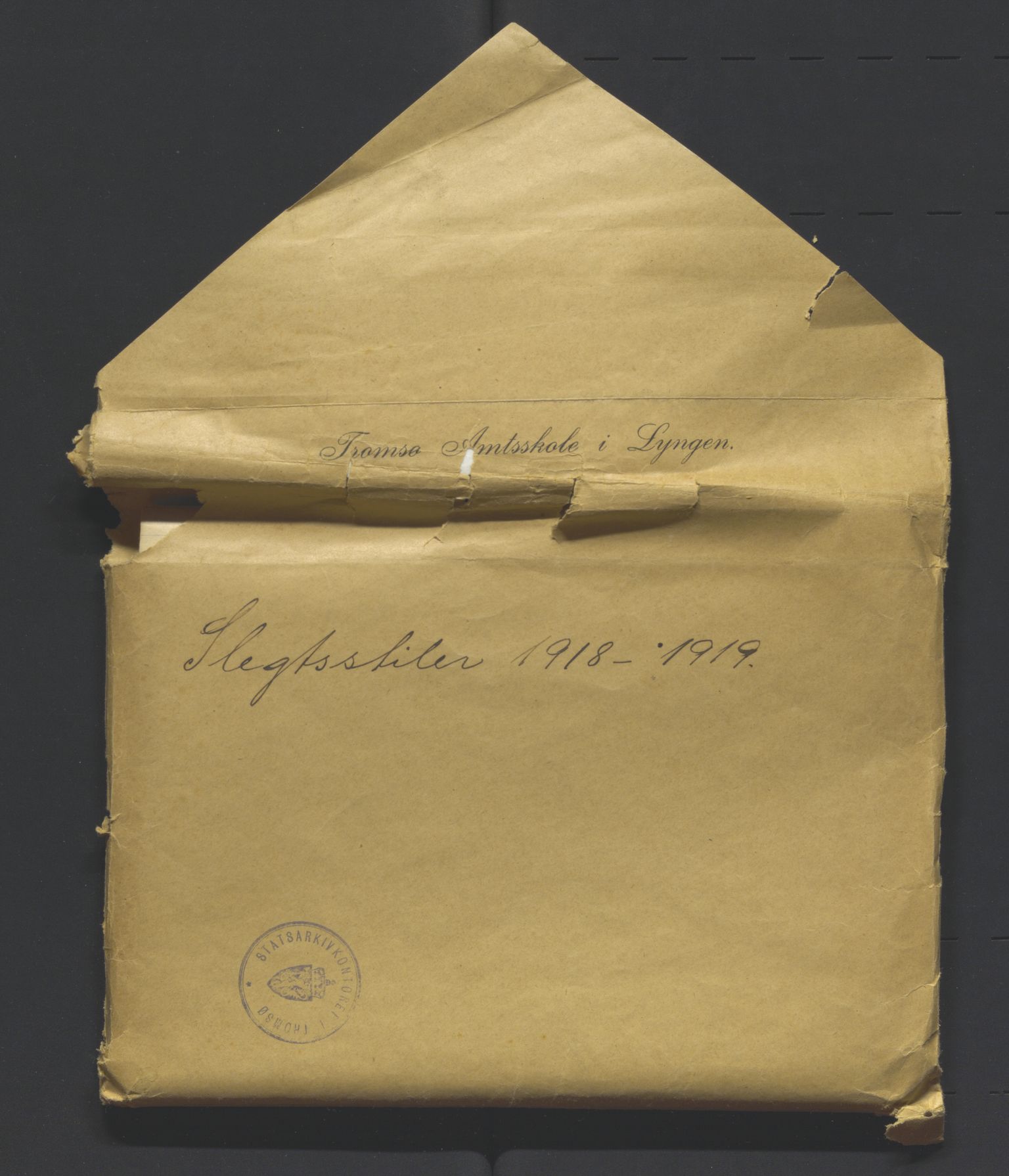 Slektsstiler fra Tromsø Amtsskole i Lyngen og Trondarnes folkehøgskole, AV/SATØ-P-0029/F/L0001: Slektsstiler, 1916-1920, p. 35