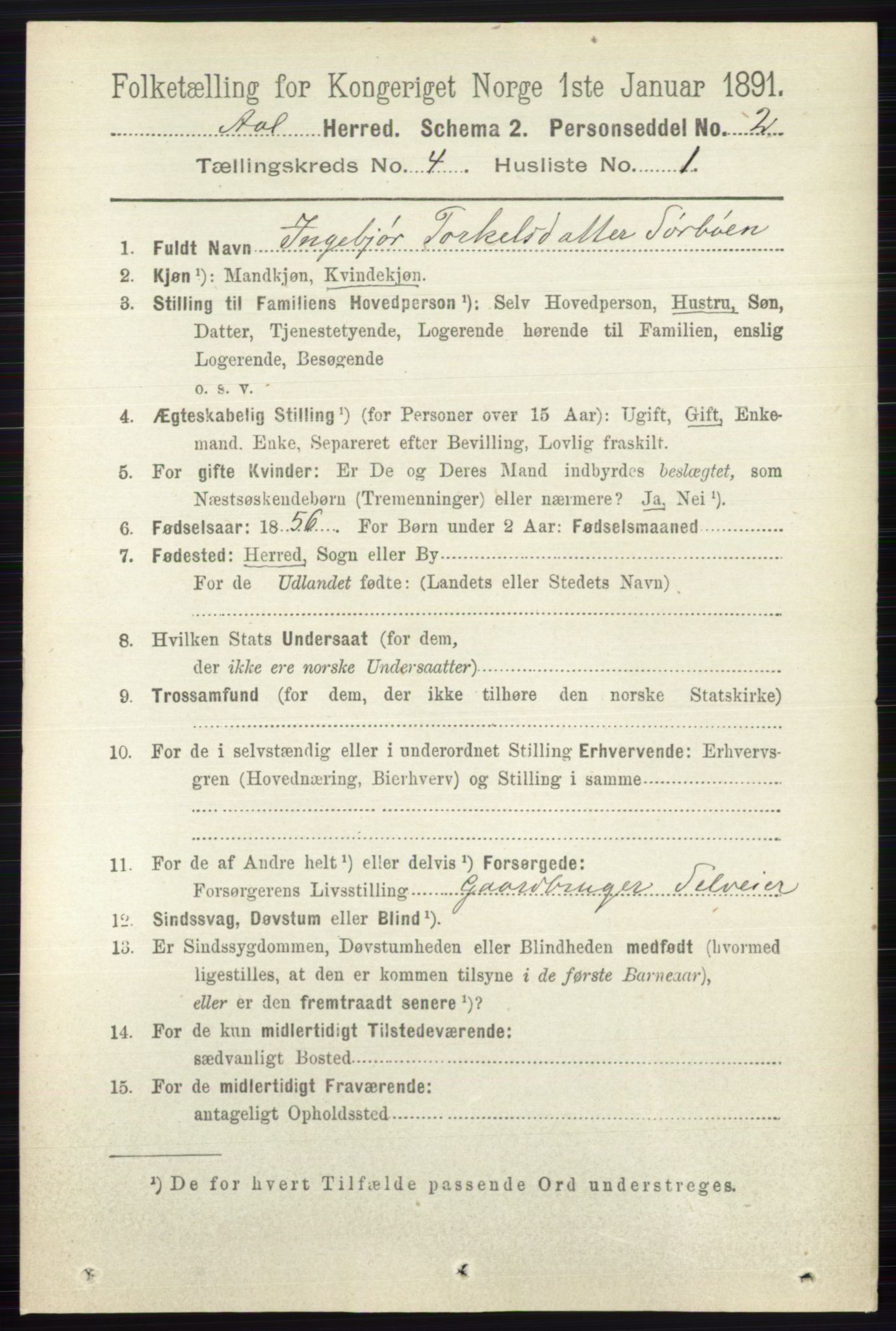 RA, 1891 census for 0619 Ål, 1891, p. 1035