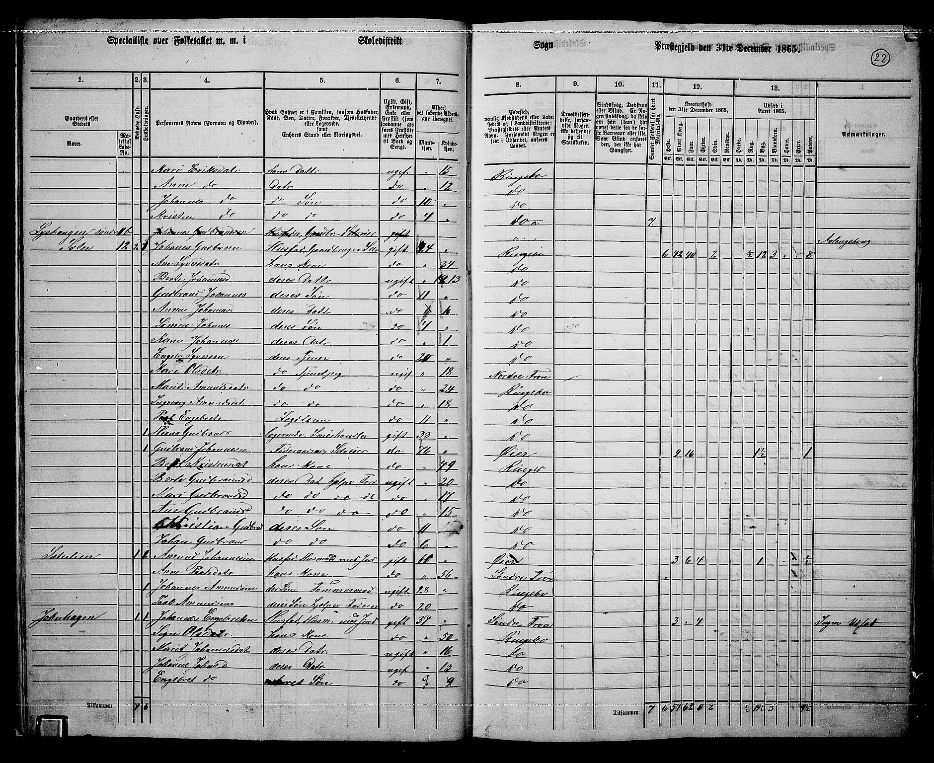 RA, 1865 census for Ringebu, 1865, p. 17