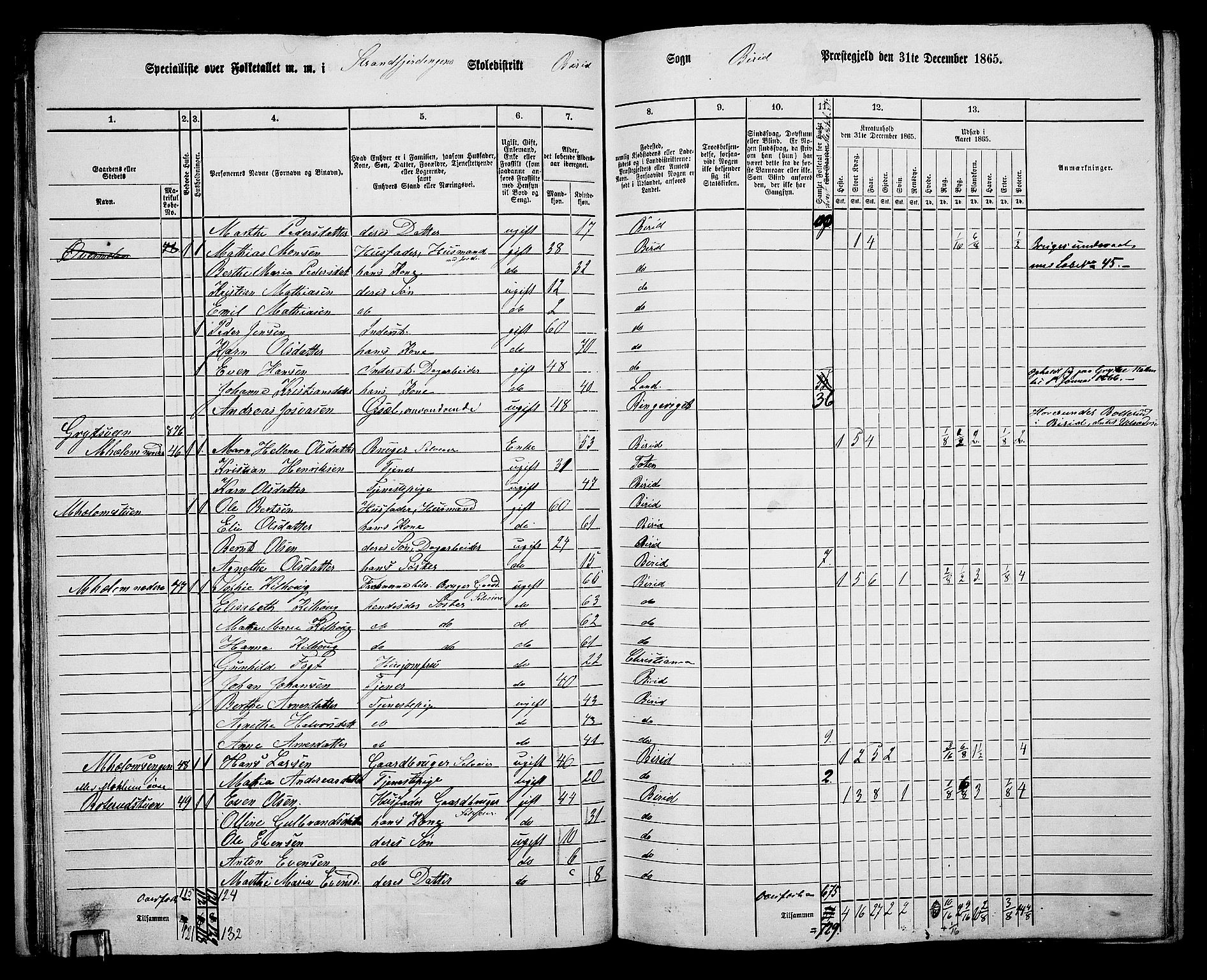 RA, 1865 census for Biri, 1865, p. 35