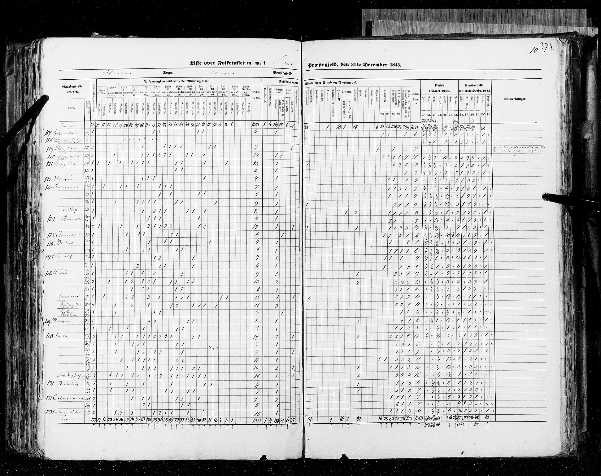 RA, Census 1845, vol. 4: Buskerud amt og Jarlsberg og Larvik amt, 1845, p. 374