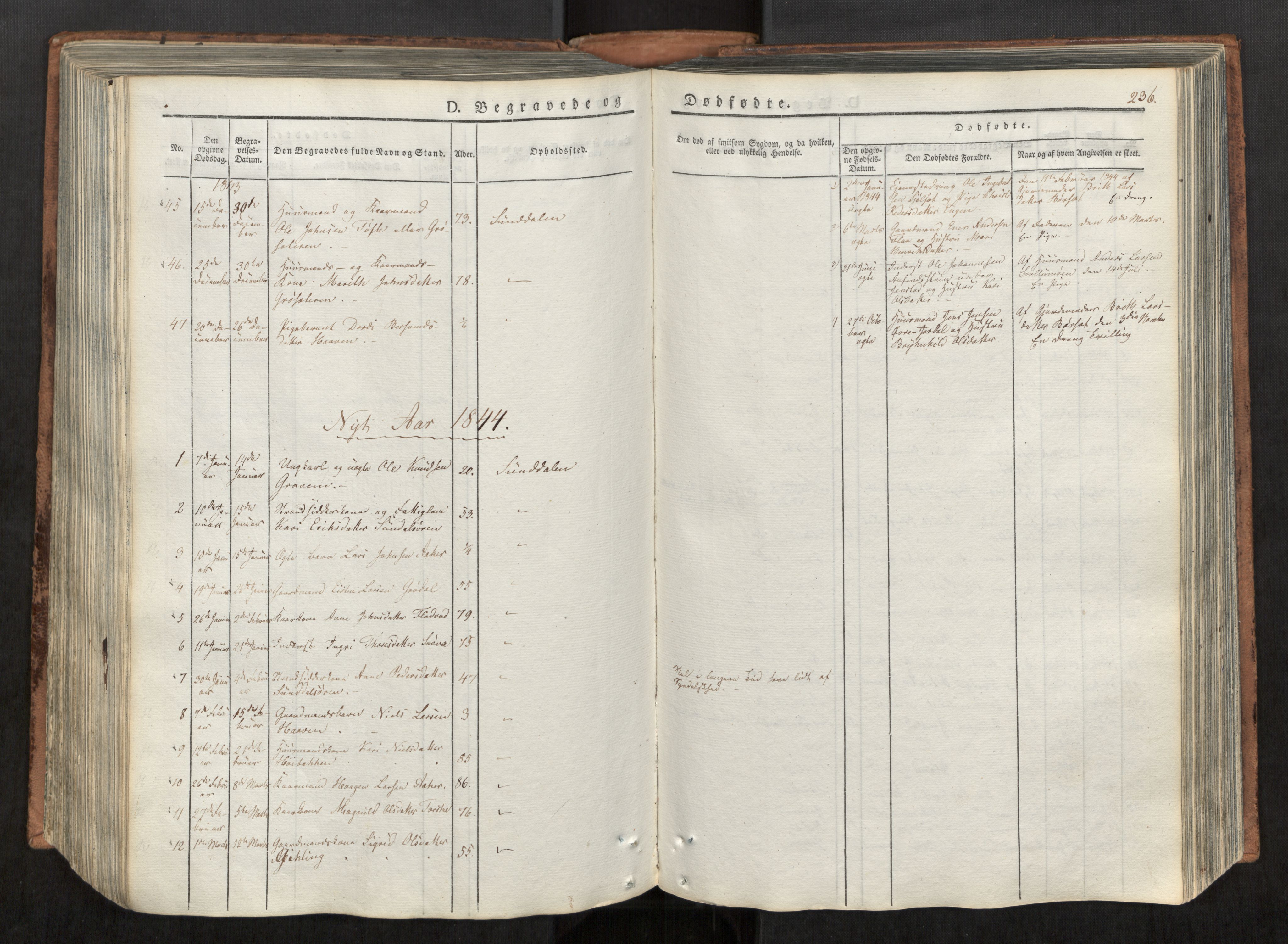 Ministerialprotokoller, klokkerbøker og fødselsregistre - Møre og Romsdal, AV/SAT-A-1454/590/L1012: Parish register (official) no. 590A04, 1832-1846, p. 236