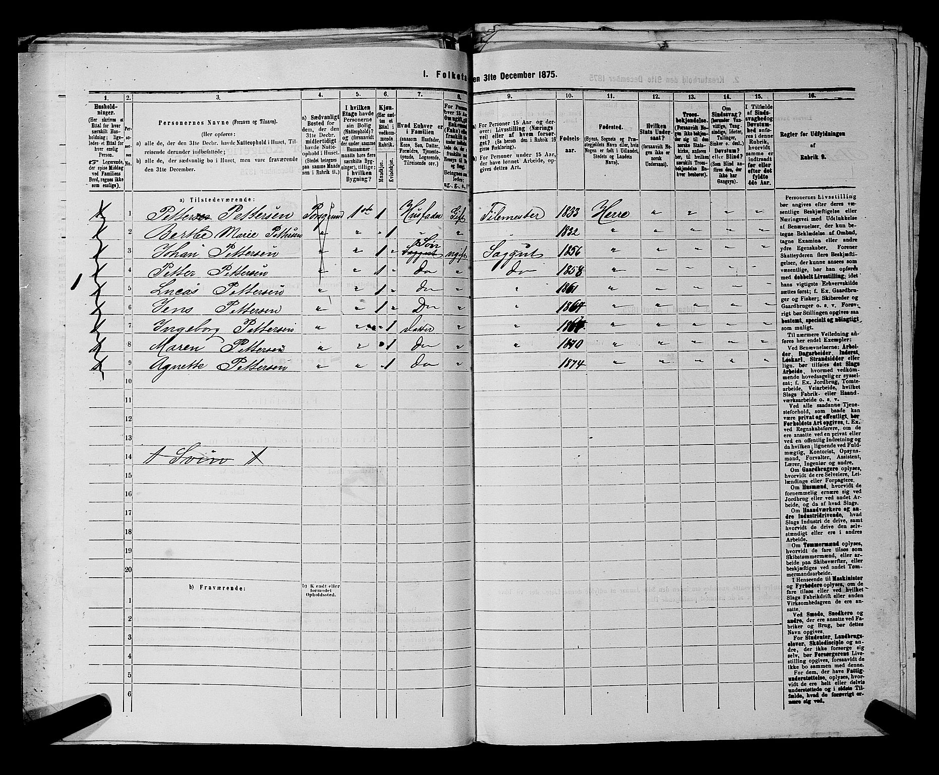 SAKO, 1875 census for 0805P Porsgrunn, 1875, p. 491