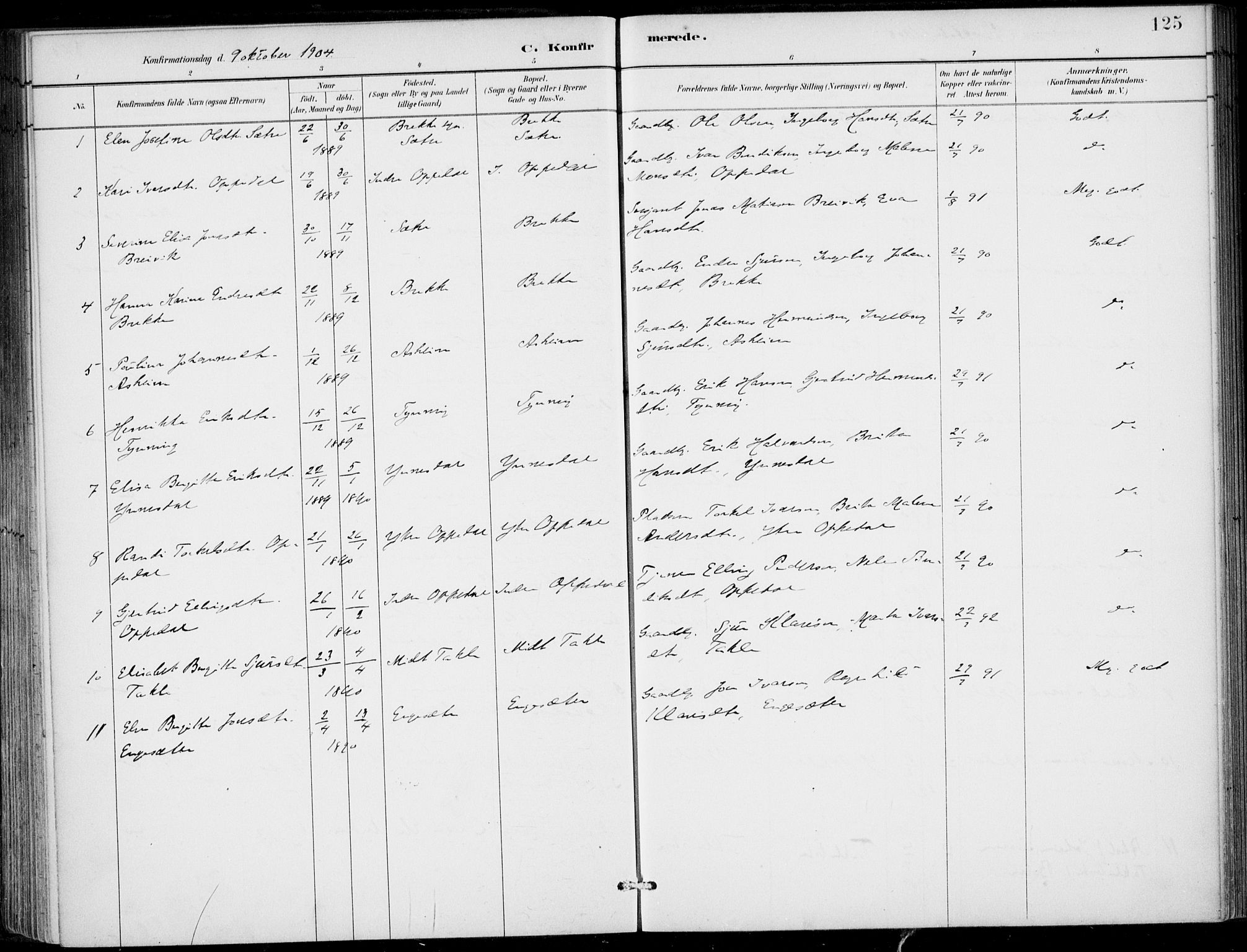 Gulen sokneprestembete, AV/SAB-A-80201/H/Haa/Haac/L0002: Parish register (official) no. C  2, 1882-1914, p. 125