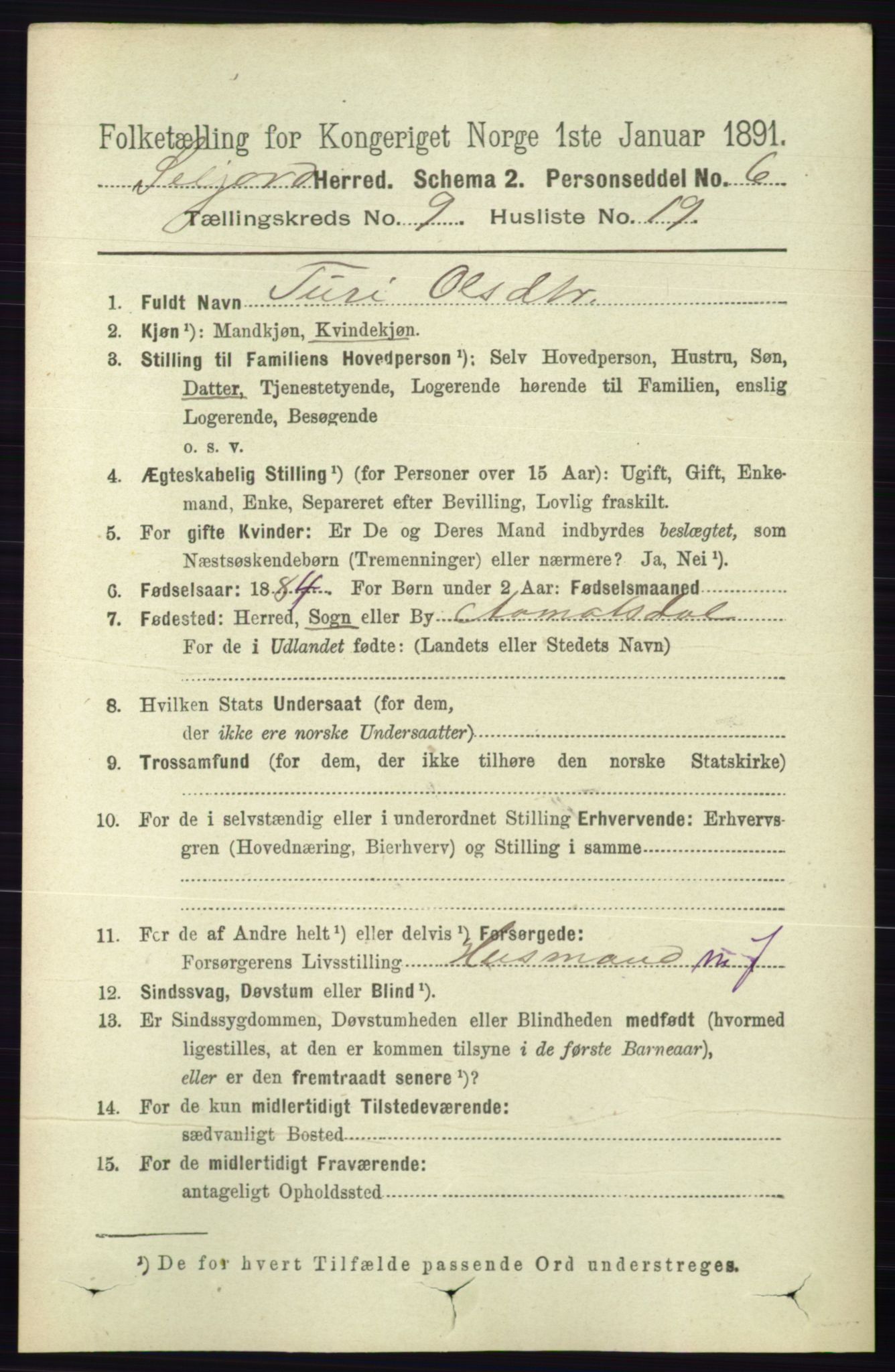 RA, 1891 census for 0828 Seljord, 1891, p. 3270