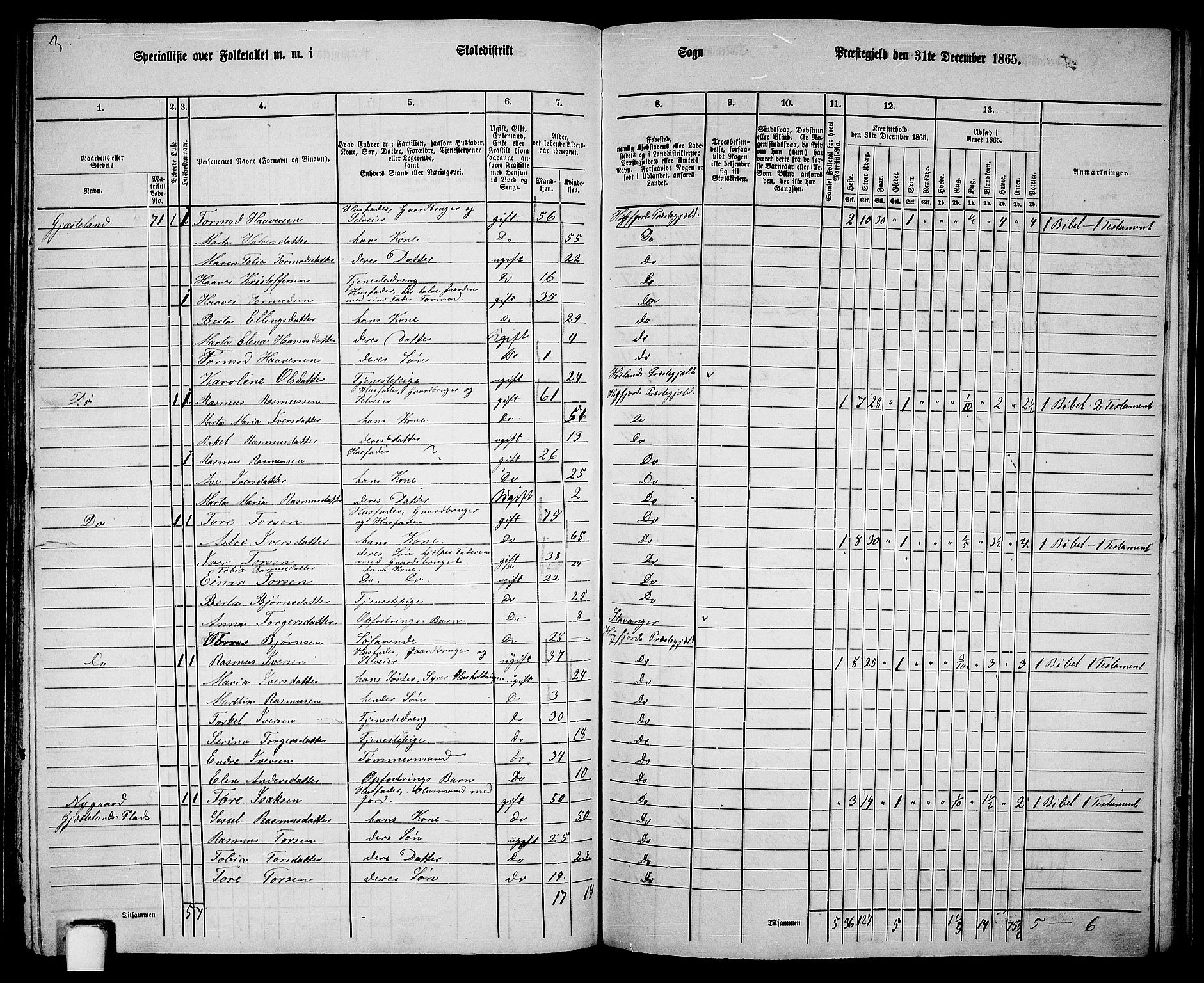 RA, 1865 census for Høgsfjord, 1865, p. 113