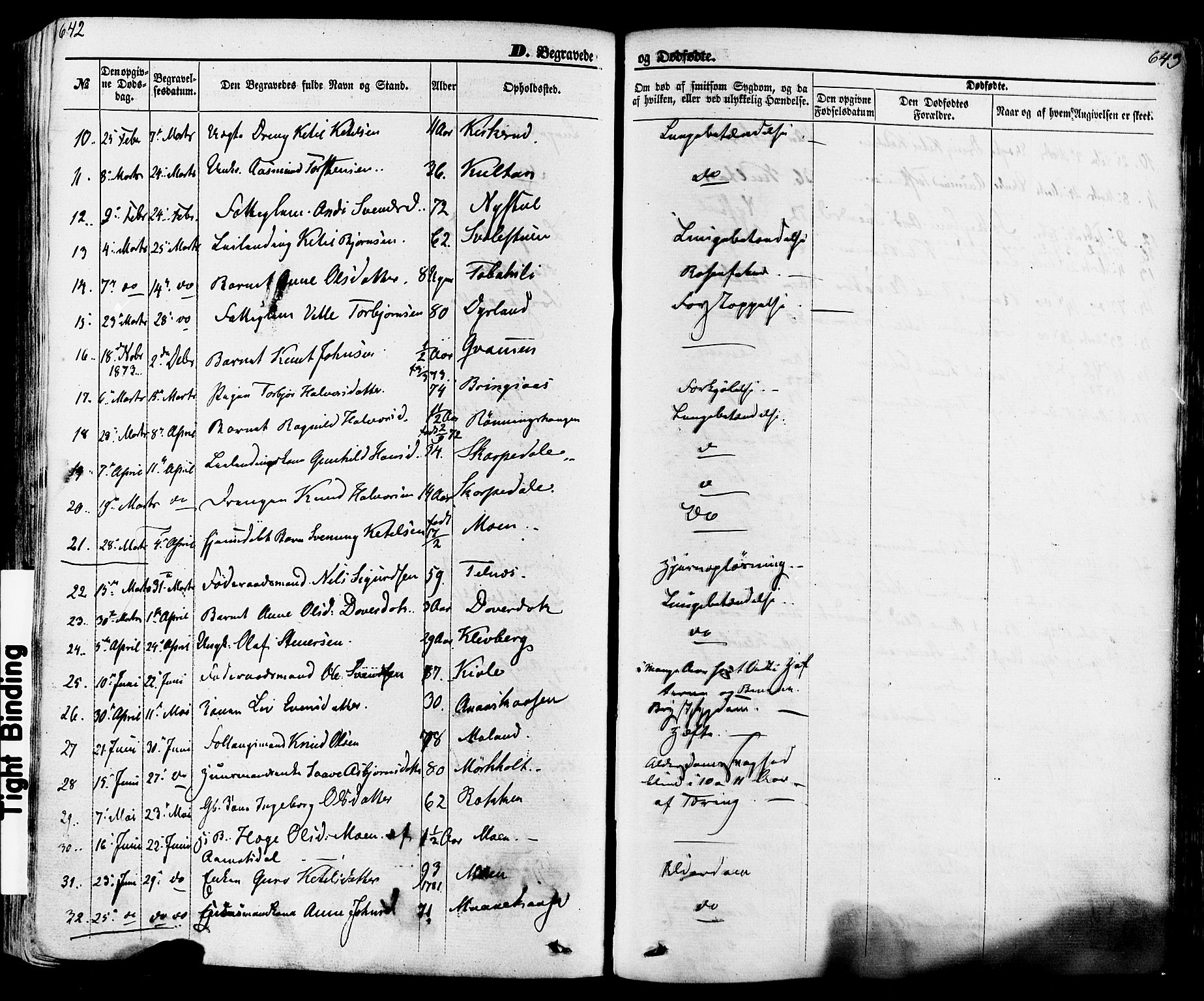 Seljord kirkebøker, AV/SAKO-A-20/F/Fa/L0013: Parish register (official) no. I 13, 1866-1876, p. 642-643