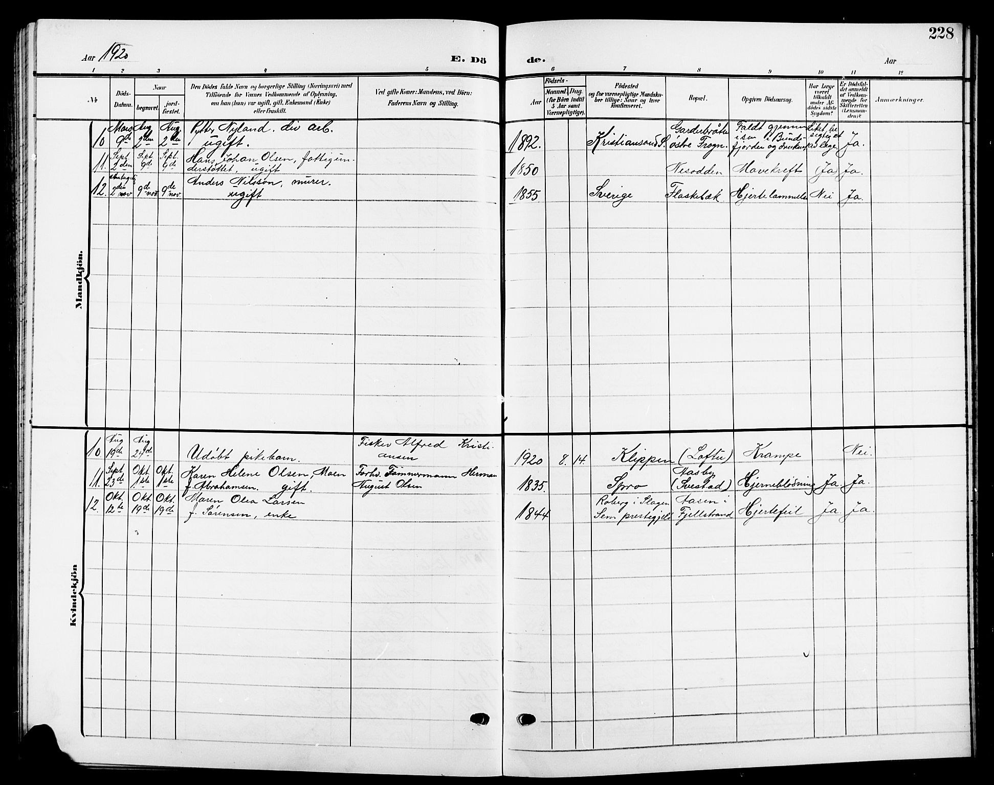 Nesodden prestekontor Kirkebøker, AV/SAO-A-10013/G/Ga/L0002: Parish register (copy) no. I 2, 1905-1924, p. 228