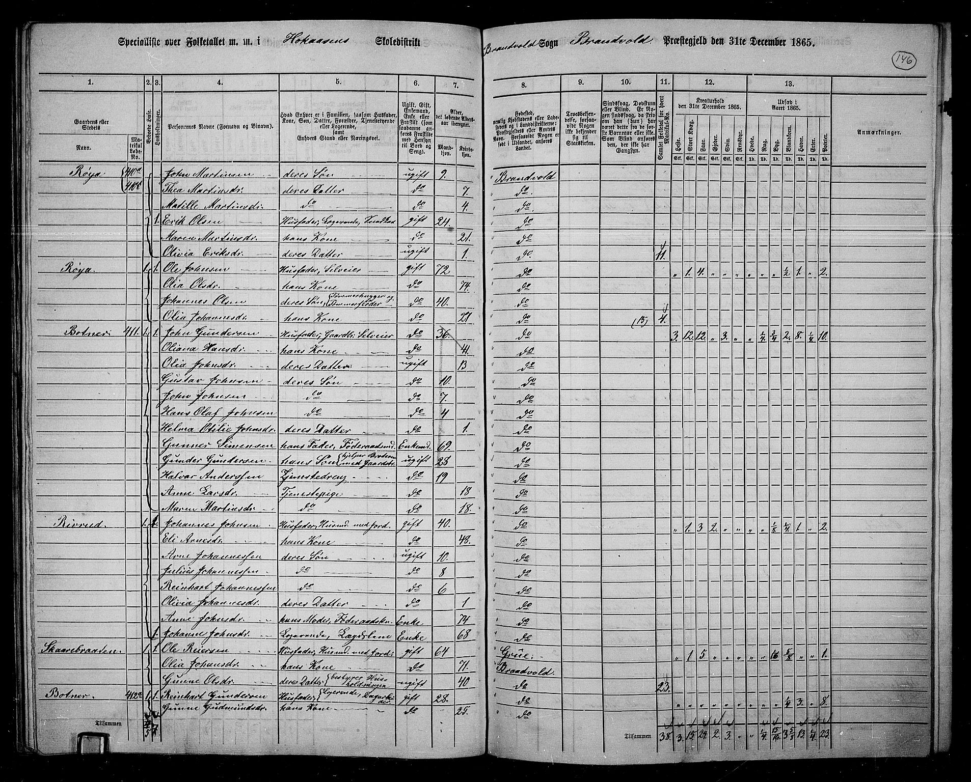 RA, 1865 census for Brandval, 1865, p. 123