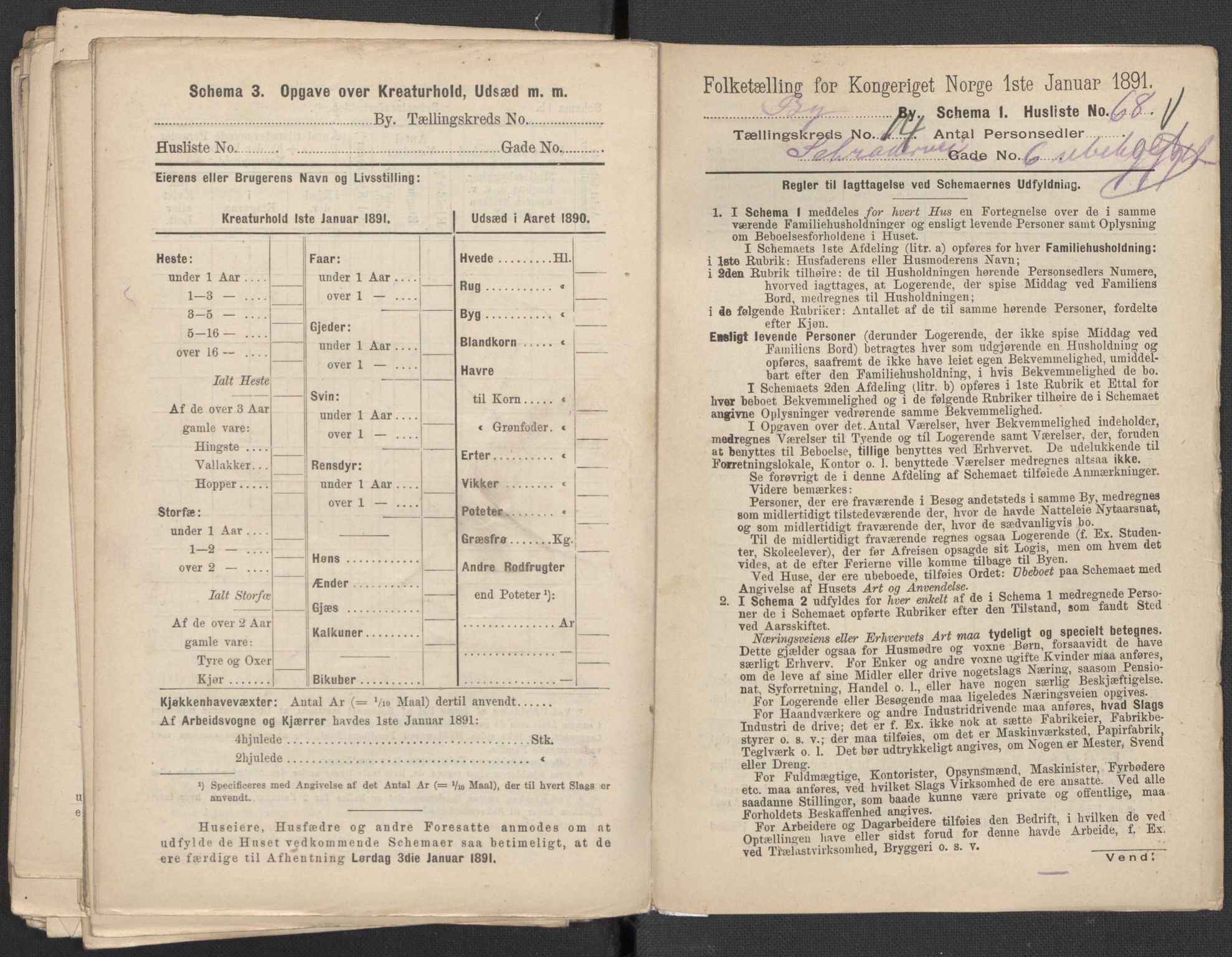 RA, 1891 Census for 1301 Bergen, 1891, p. 2303