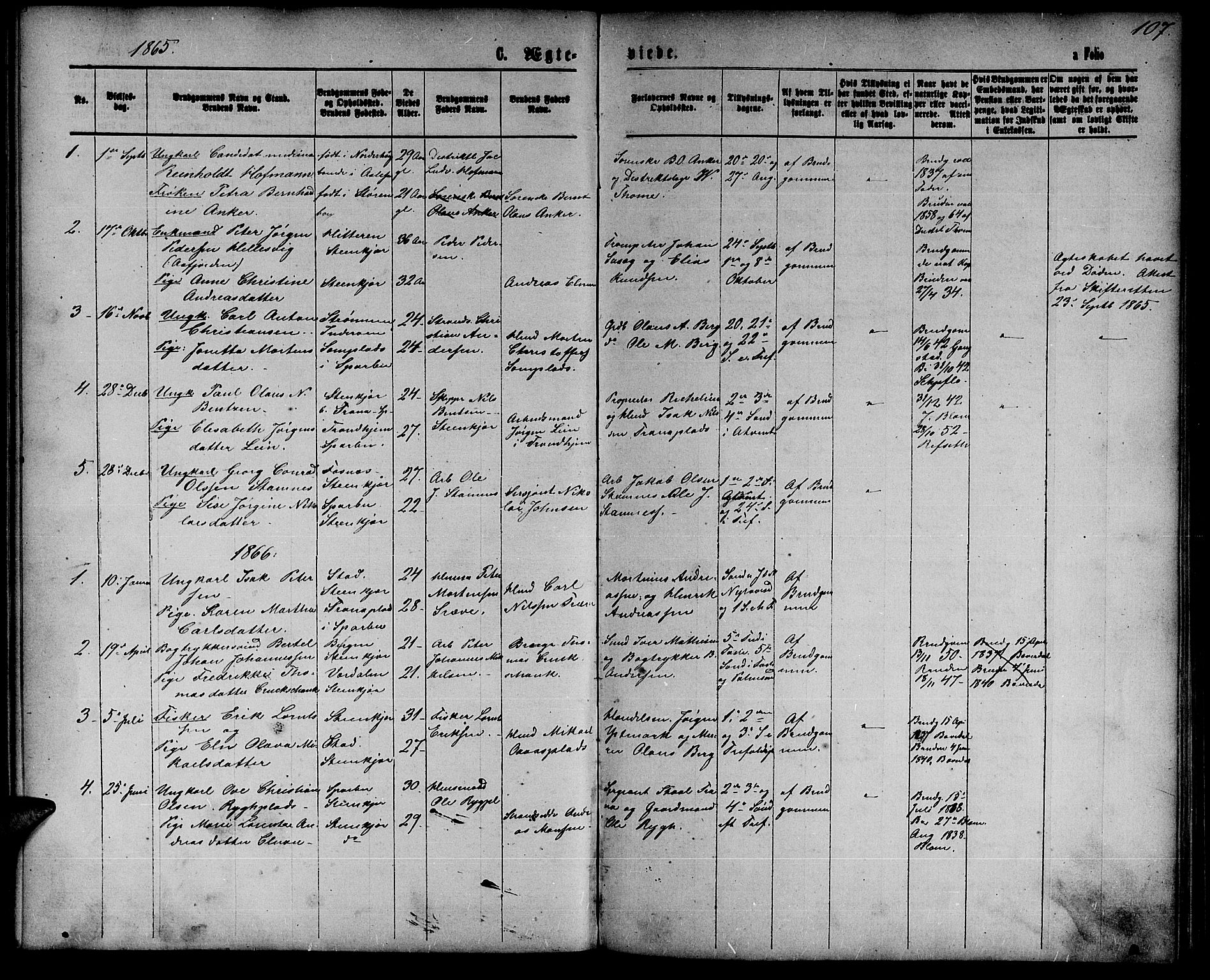 Ministerialprotokoller, klokkerbøker og fødselsregistre - Nord-Trøndelag, SAT/A-1458/739/L0373: Parish register (copy) no. 739C01, 1865-1882, p. 107