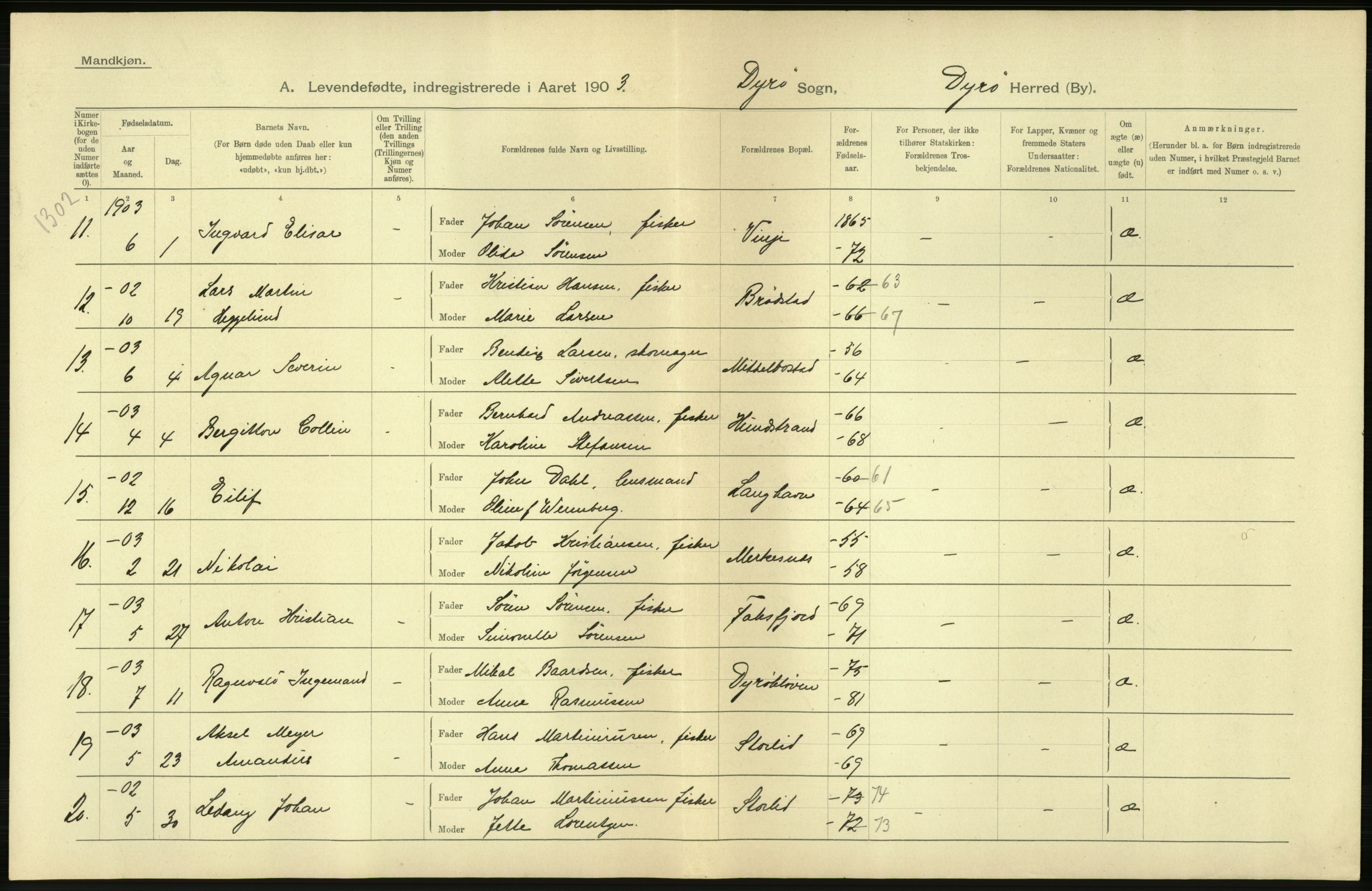 Statistisk sentralbyrå, Sosiodemografiske emner, Befolkning, AV/RA-S-2228/D/Df/Dfa/Dfaa/L0021: Tromsø amt: Fødte, gifte, døde., 1903, p. 20