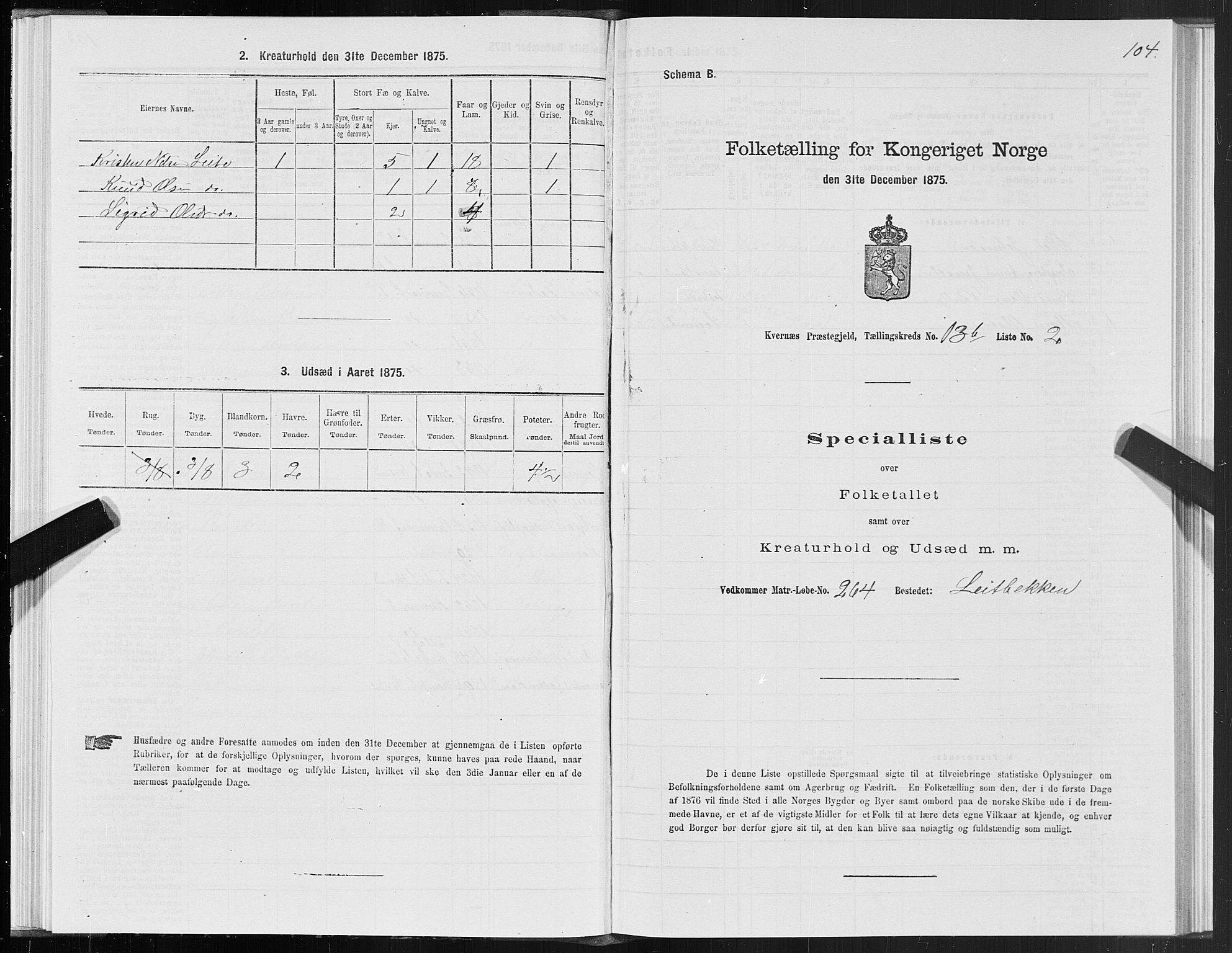 SAT, 1875 census for 1553P Kvernes, 1875, p. 7104