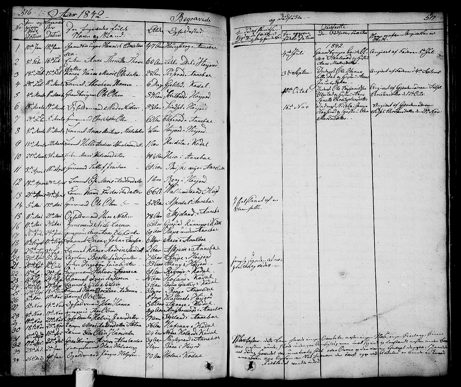 Andebu kirkebøker, AV/SAKO-A-336/G/Ga/L0003: Parish register (copy) no. I 3, 1832-1867, p. 516-517