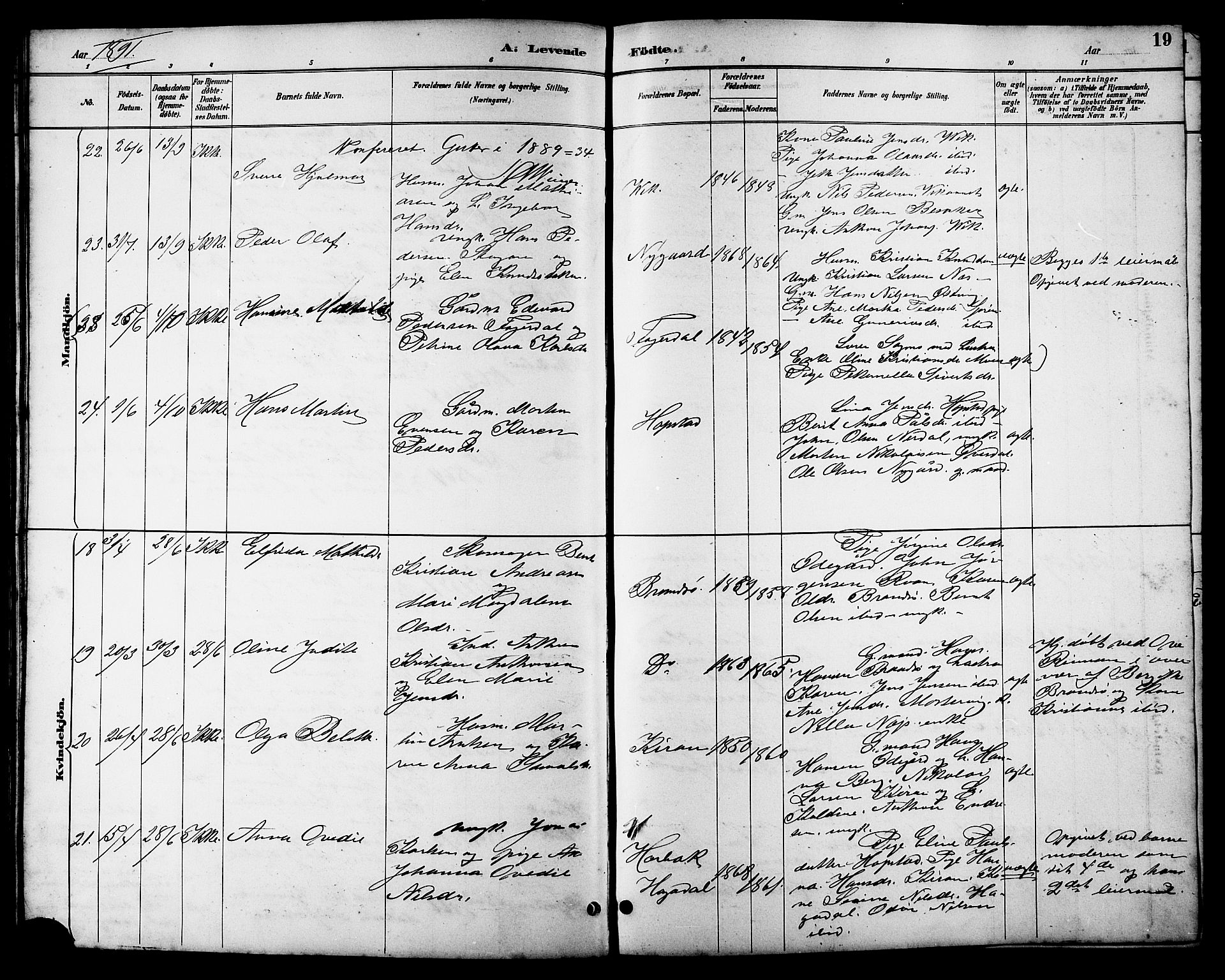 Ministerialprotokoller, klokkerbøker og fødselsregistre - Sør-Trøndelag, AV/SAT-A-1456/657/L0716: Parish register (copy) no. 657C03, 1889-1904, p. 19