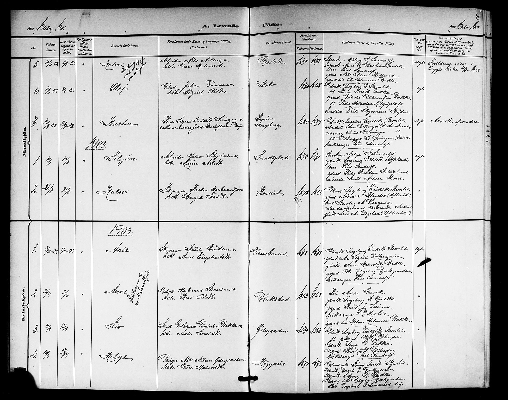 Rollag kirkebøker, SAKO/A-240/G/Gb/L0003: Parish register (copy) no. II 3, 1897-1919, p. 8
