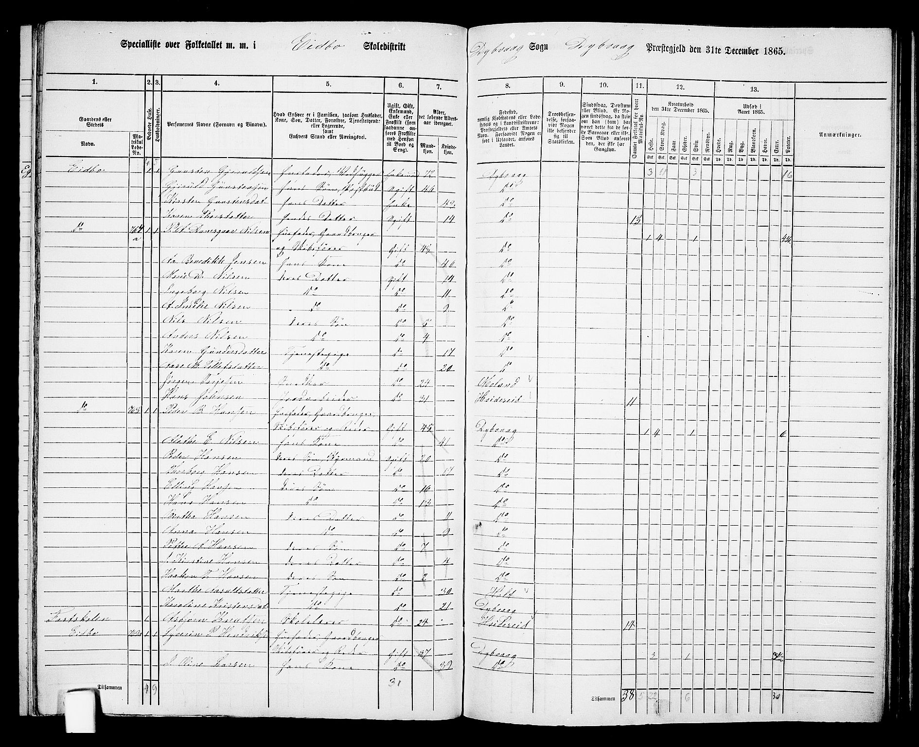 RA, 1865 census for Dypvåg, 1865, p. 110