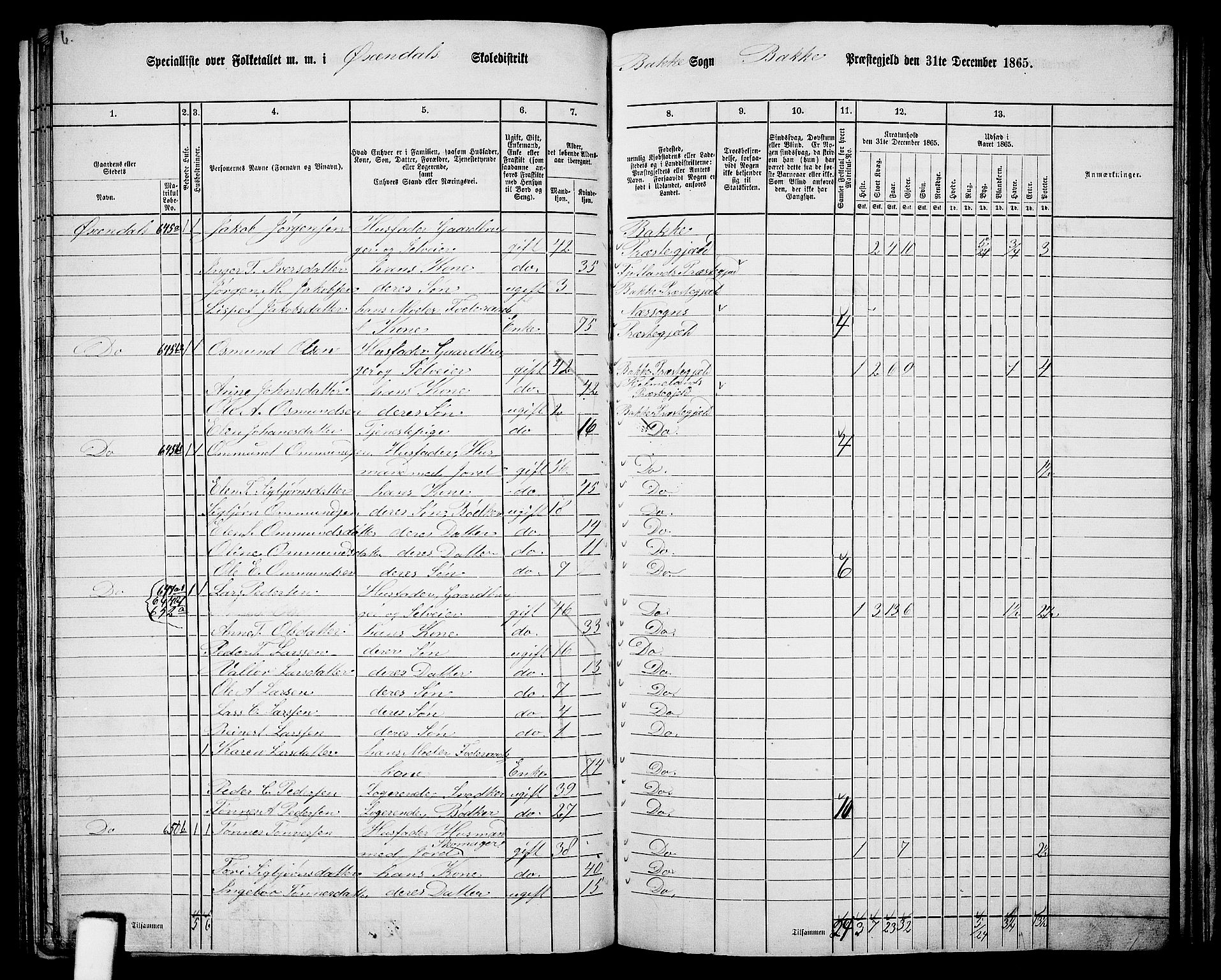 RA, 1865 census for Bakke, 1865, p. 67