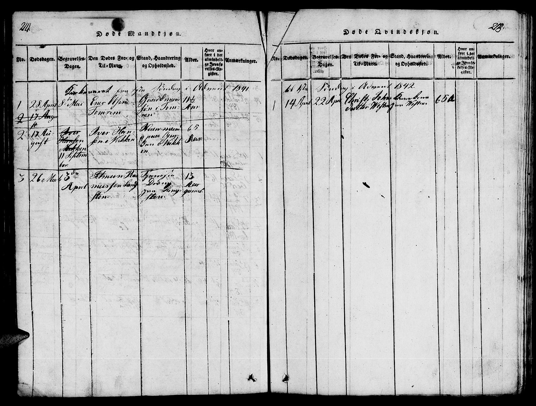 Ministerialprotokoller, klokkerbøker og fødselsregistre - Møre og Romsdal, AV/SAT-A-1454/539/L0535: Parish register (copy) no. 539C01, 1818-1842, p. 214-215