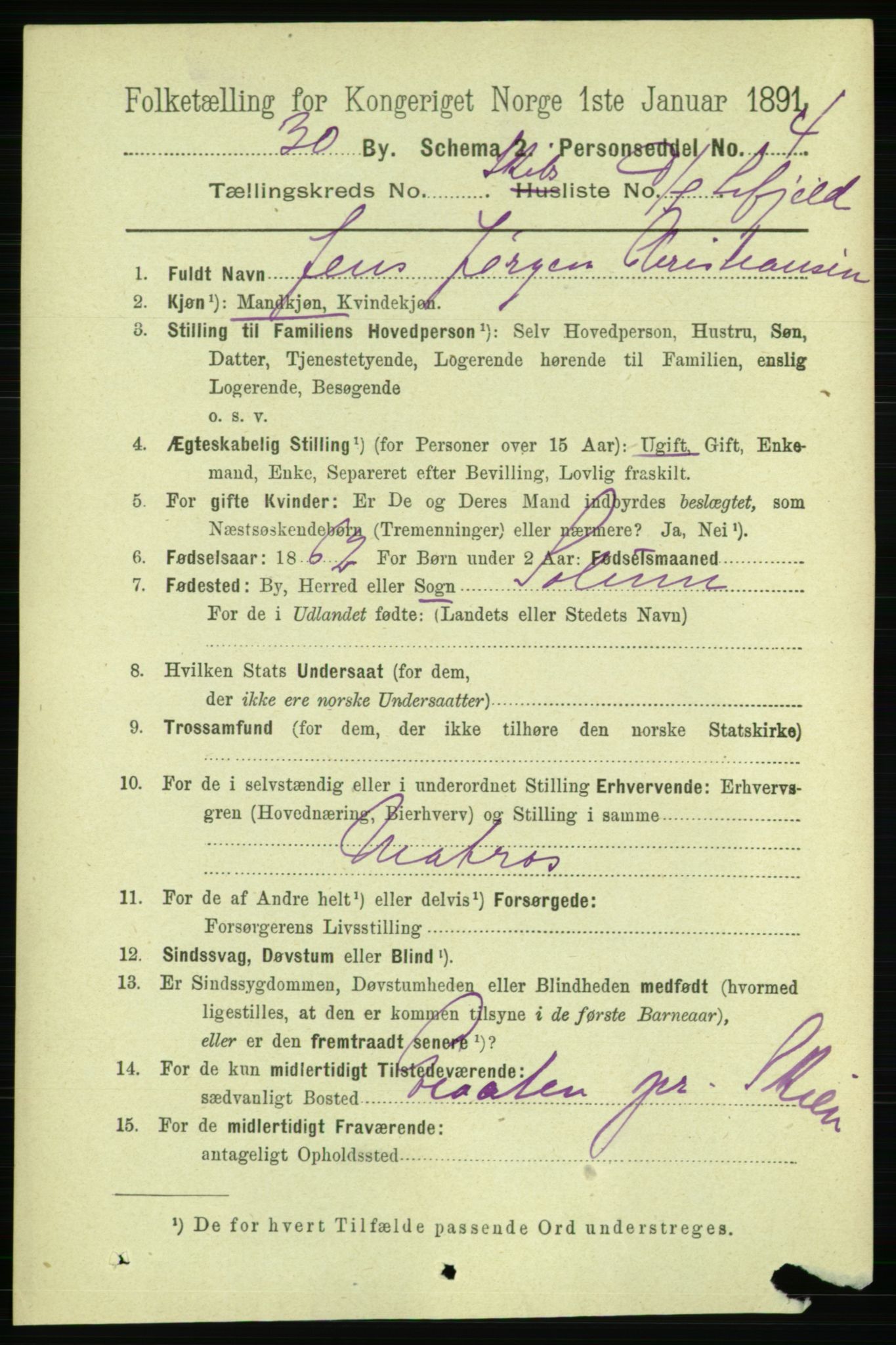 RA, 1891 census for 0806 Skien, 1891, p. 11513