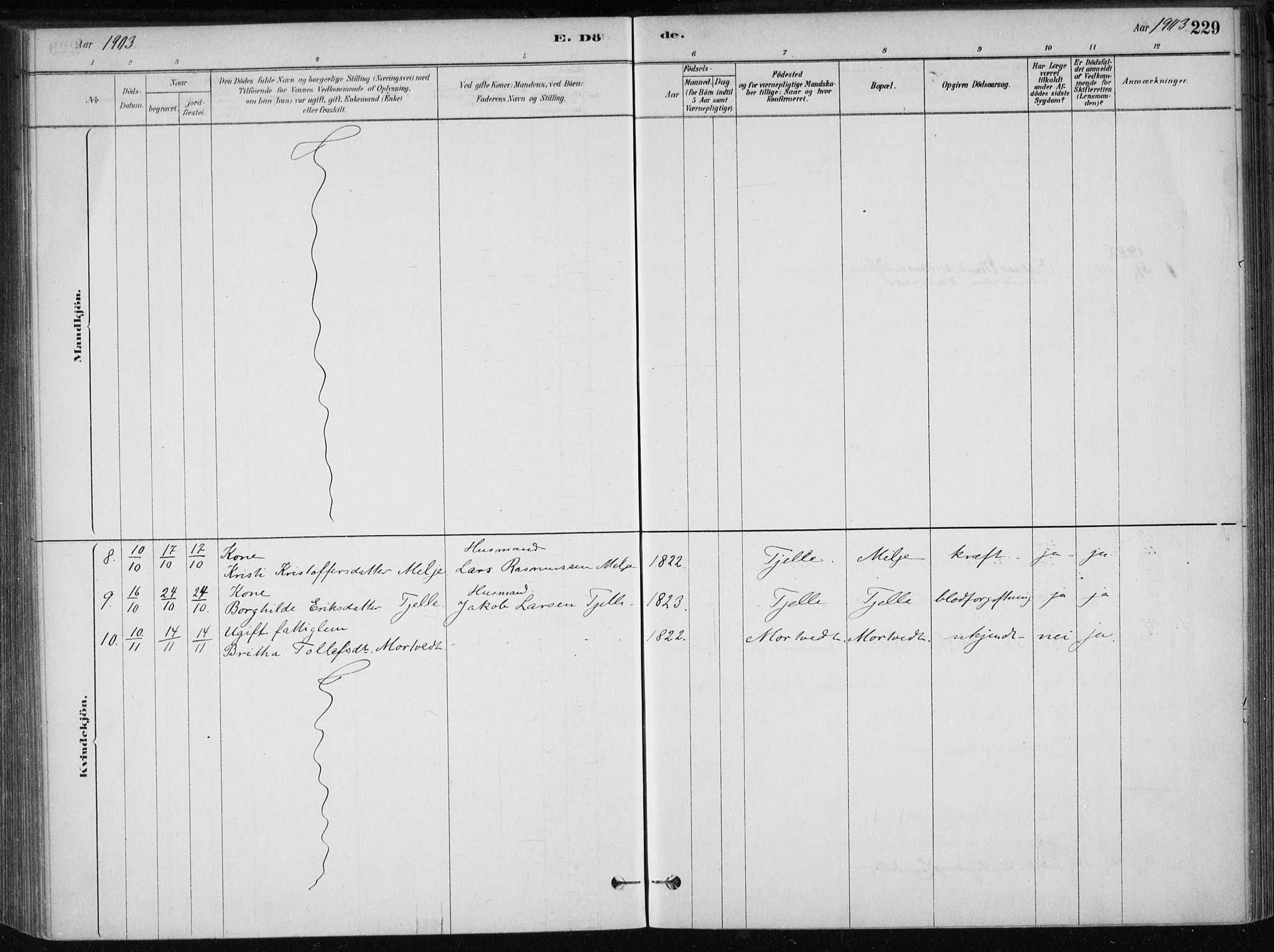 Skånevik sokneprestembete, AV/SAB-A-77801/H/Haa: Parish register (official) no. B 1, 1879-1914, p. 229