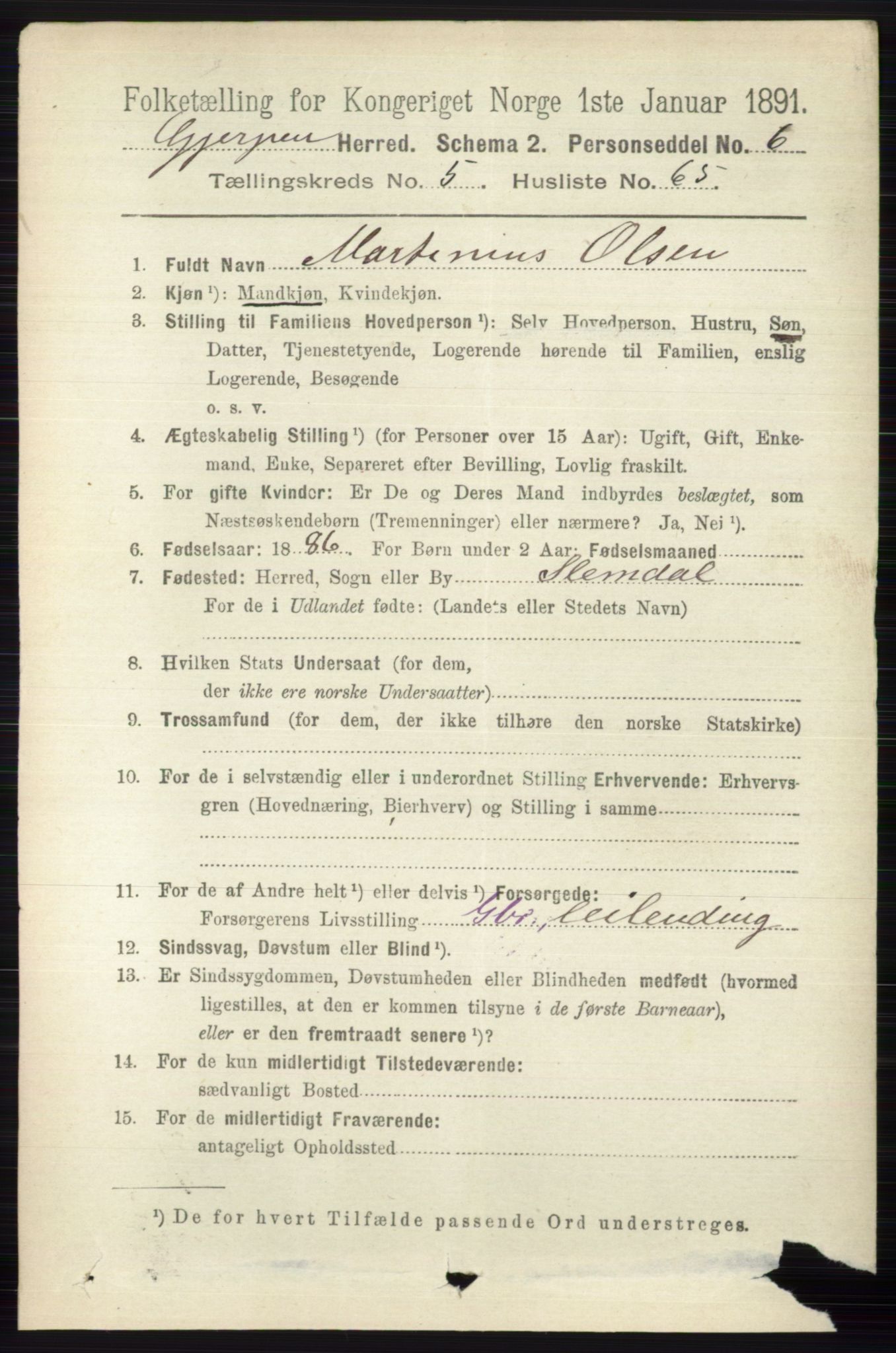 RA, 1891 census for 0812 Gjerpen, 1891, p. 2909