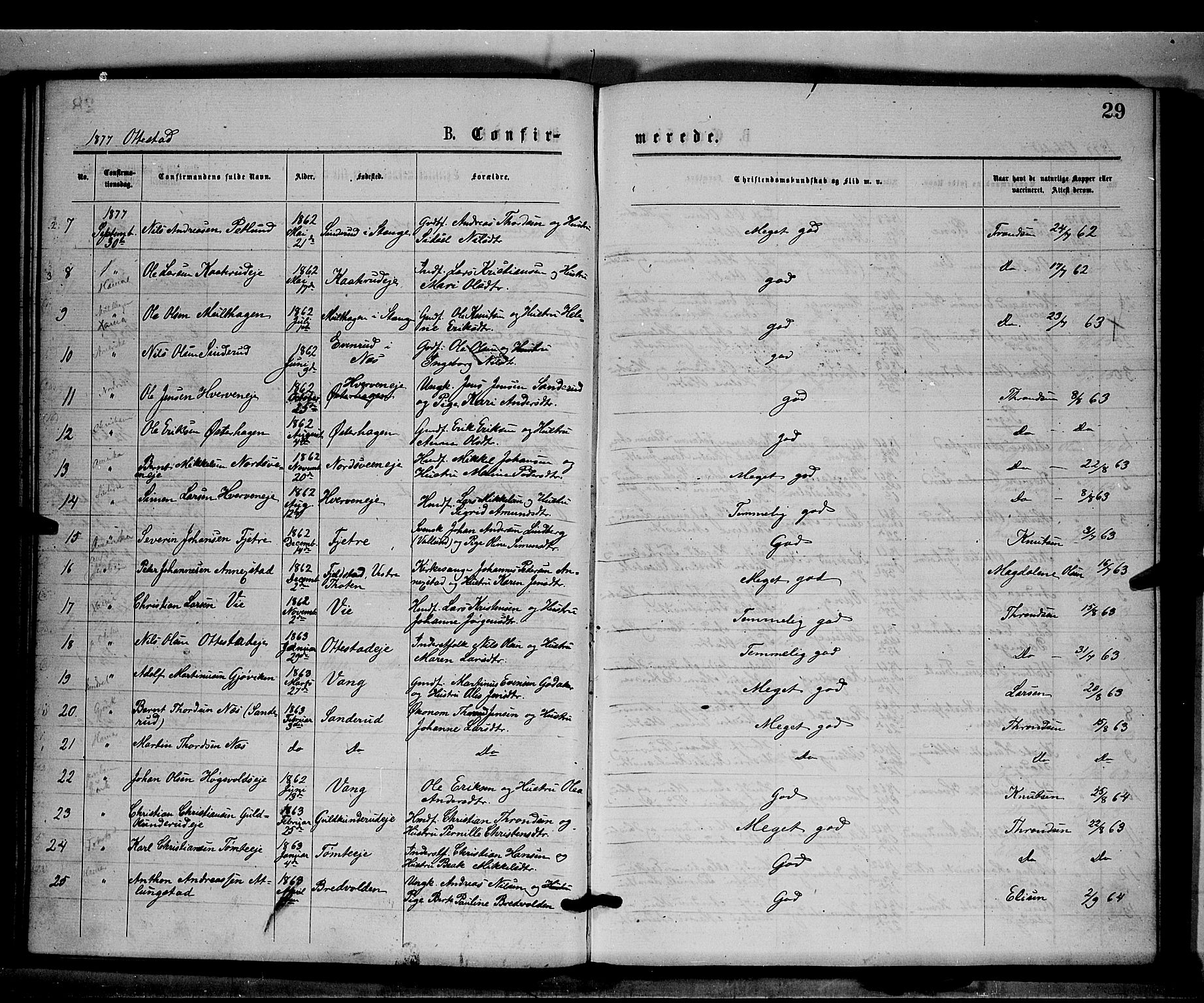 Stange prestekontor, AV/SAH-PREST-002/K/L0016: Parish register (official) no. 16, 1874-1879, p. 29