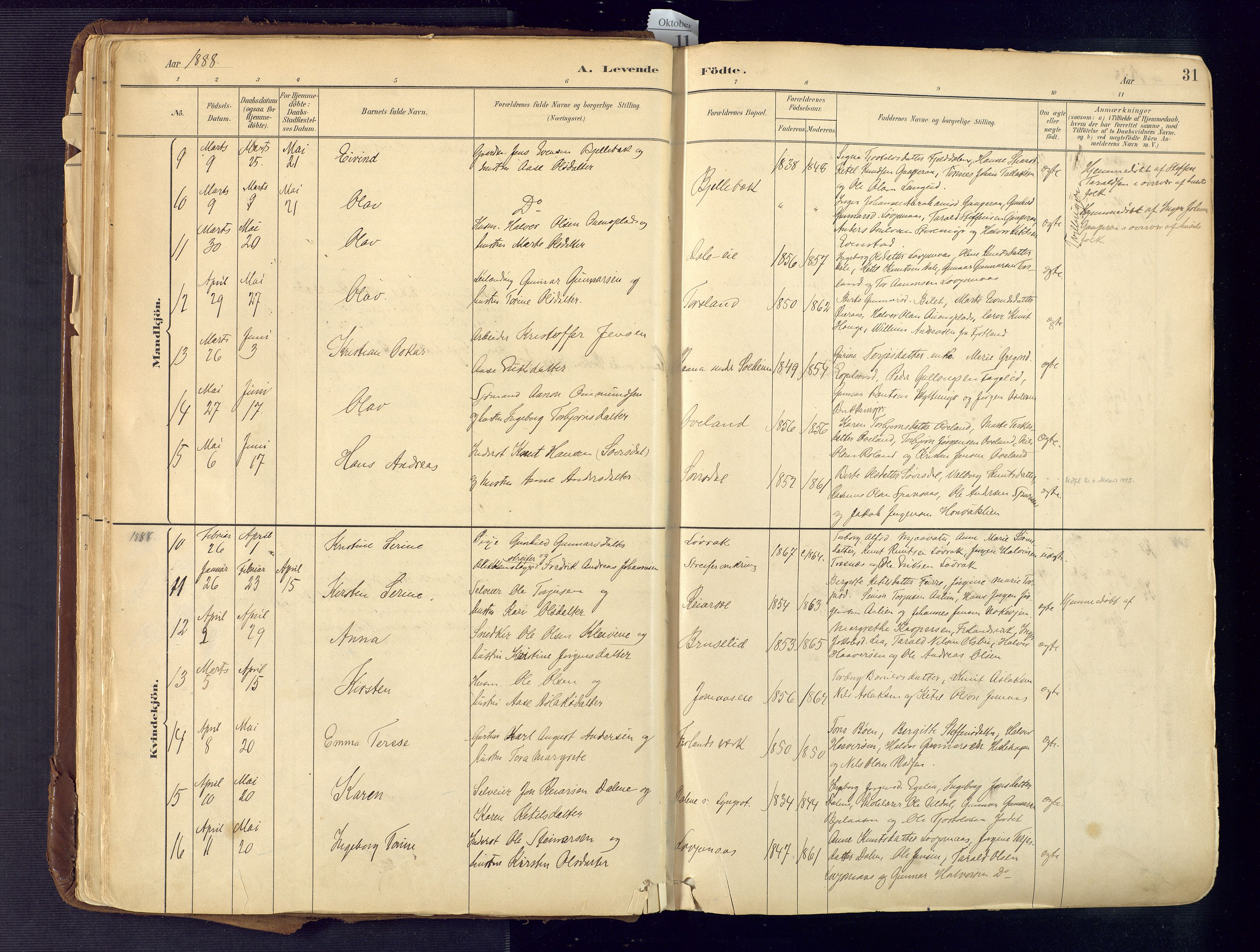 Froland sokneprestkontor, SAK/1111-0013/F/Fa/L0005: Parish register (official) no. A 5, 1882-1921, p. 31