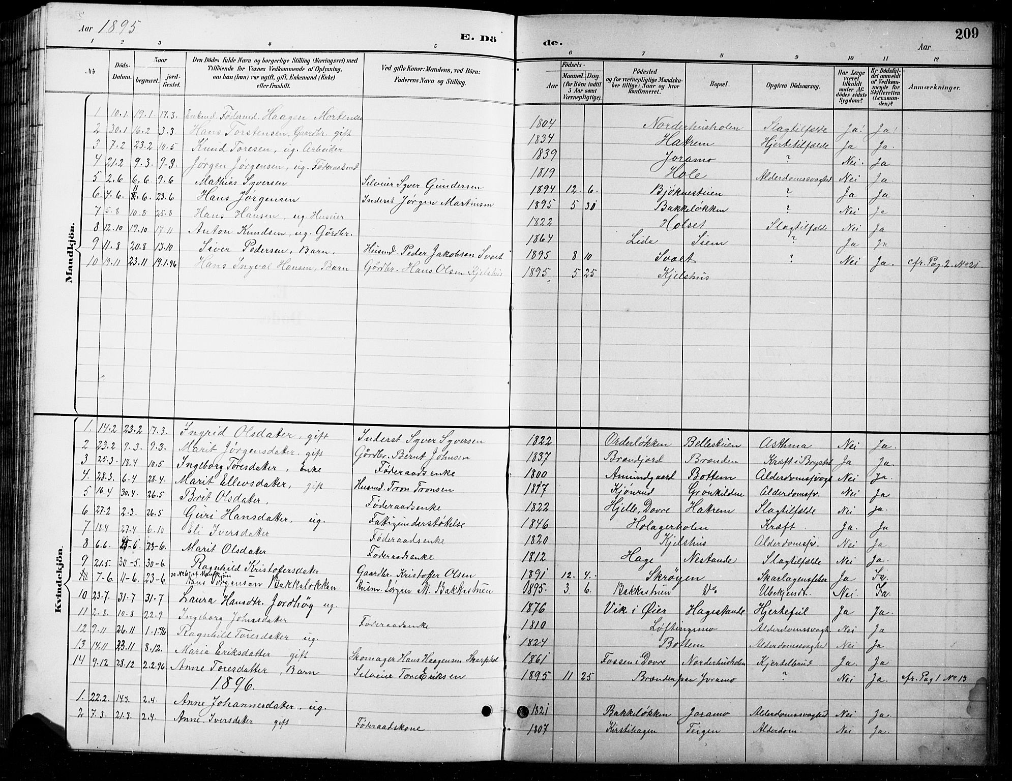 Lesja prestekontor, SAH/PREST-068/H/Ha/Hab/L0007: Parish register (copy) no. 7, 1895-1919, p. 209