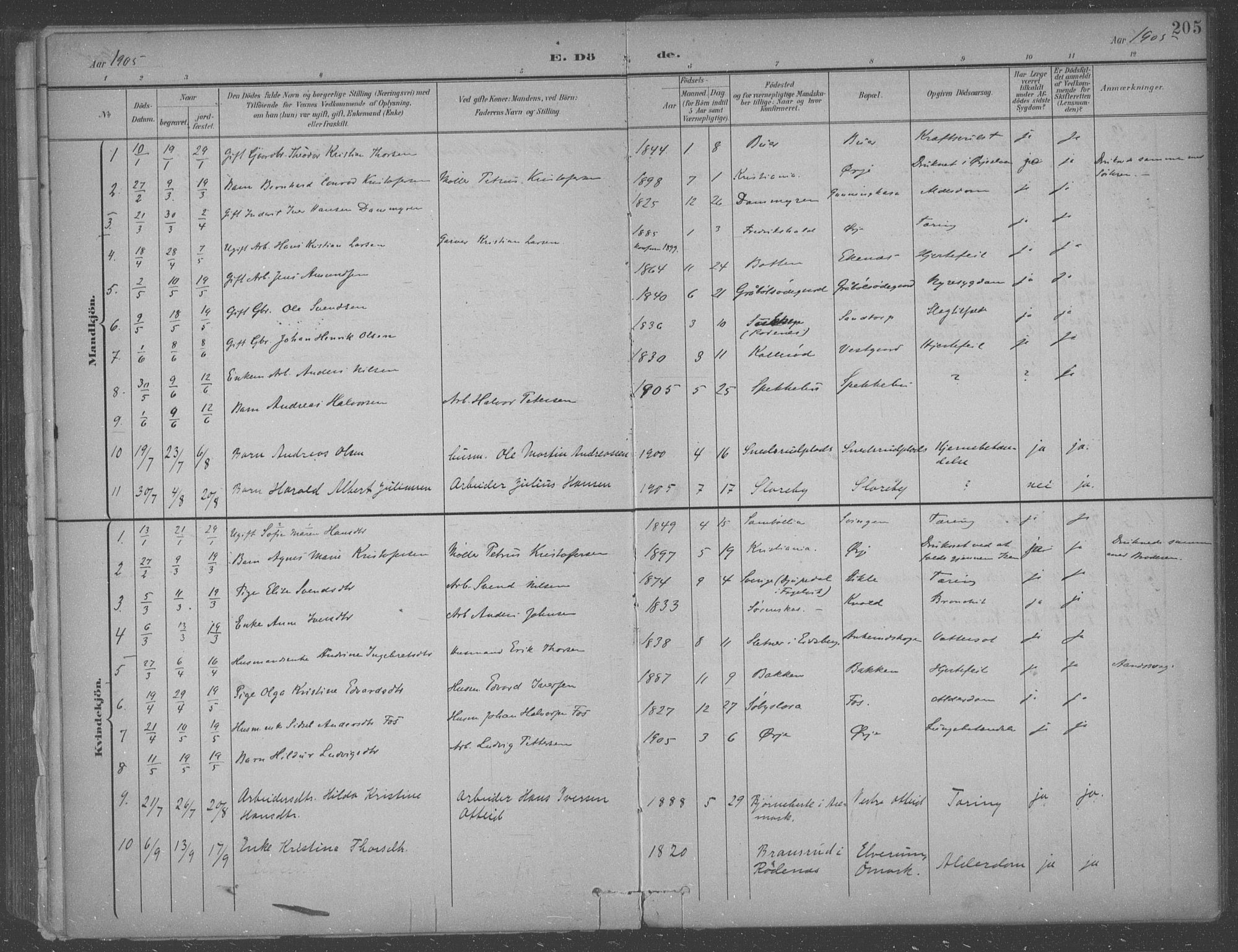 Aremark prestekontor Kirkebøker, SAO/A-10899/F/Fb/L0005: Parish register (official) no. II 5, 1895-1919, p. 205