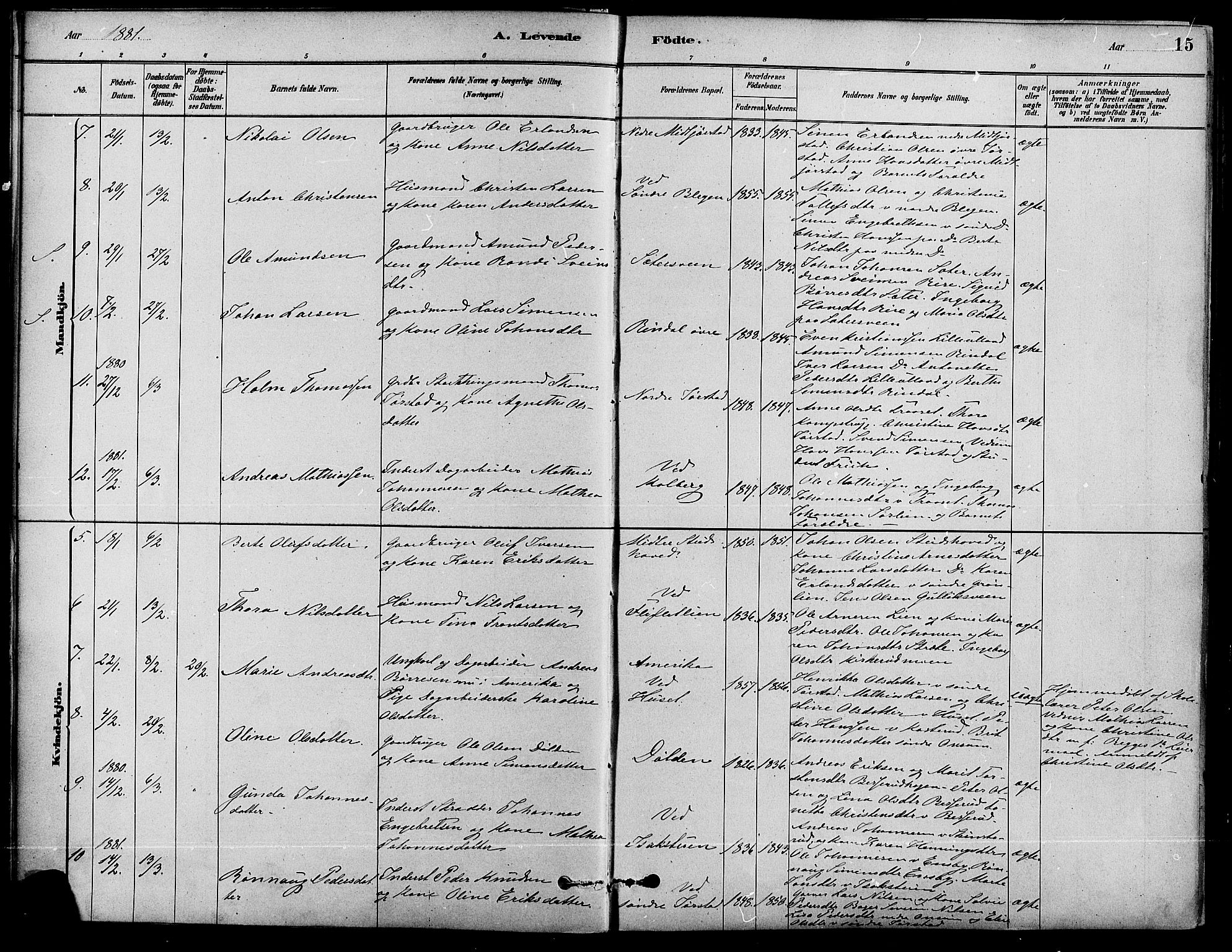 Fåberg prestekontor, AV/SAH-PREST-086/H/Ha/Haa/L0008: Parish register (official) no. 8, 1879-1898, p. 15