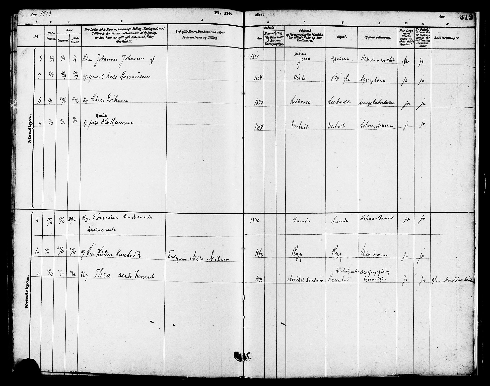 Hetland sokneprestkontor, SAST/A-101826/30/30BB/L0006: Parish register (copy) no. B 6, 1878-1921, p. 319