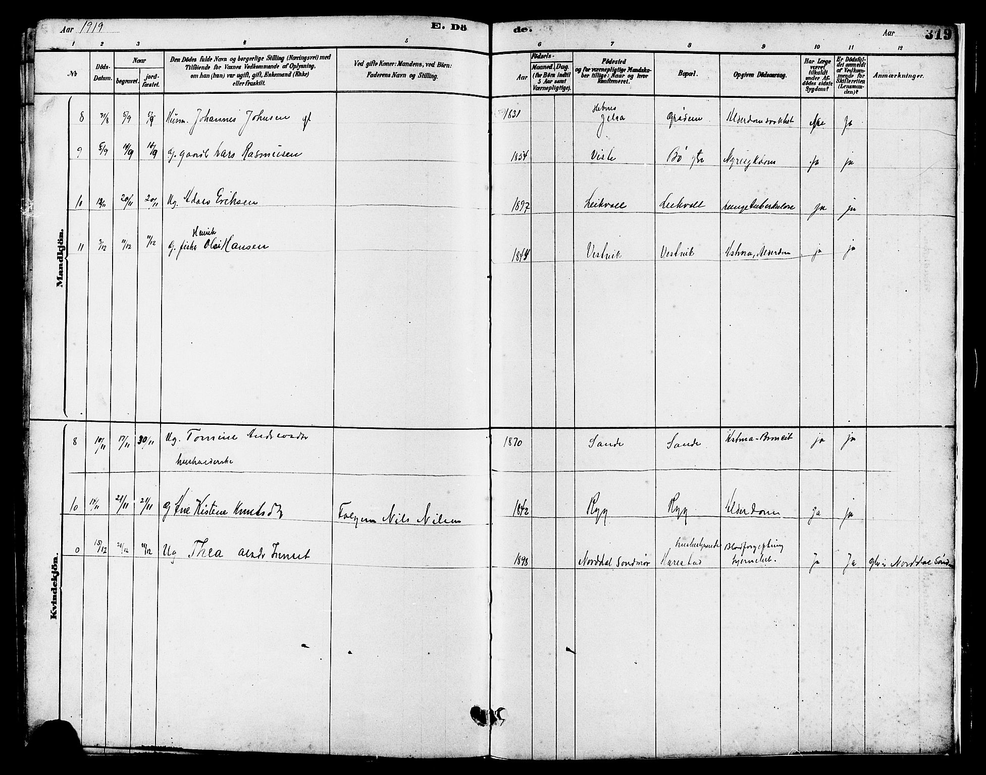 Hetland sokneprestkontor, AV/SAST-A-101826/30/30BB/L0006: Parish register (copy) no. B 6, 1878-1921, p. 319