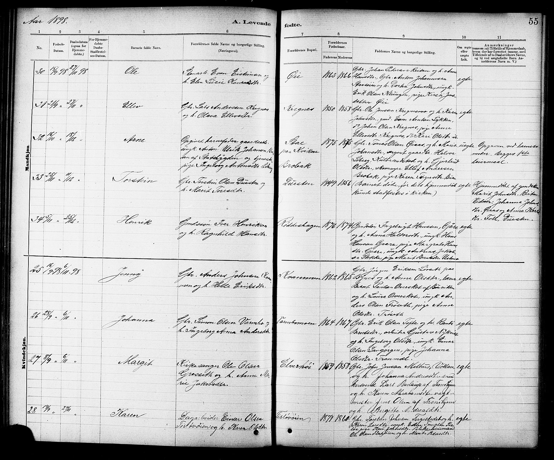 Ministerialprotokoller, klokkerbøker og fødselsregistre - Sør-Trøndelag, SAT/A-1456/691/L1094: Parish register (copy) no. 691C05, 1879-1911, p. 55