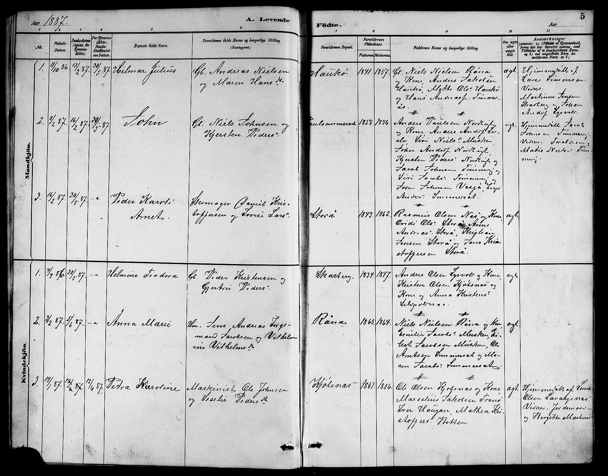 Ministerialprotokoller, klokkerbøker og fødselsregistre - Nordland, AV/SAT-A-1459/861/L0876: Parish register (copy) no. 861C02, 1887-1903, p. 5