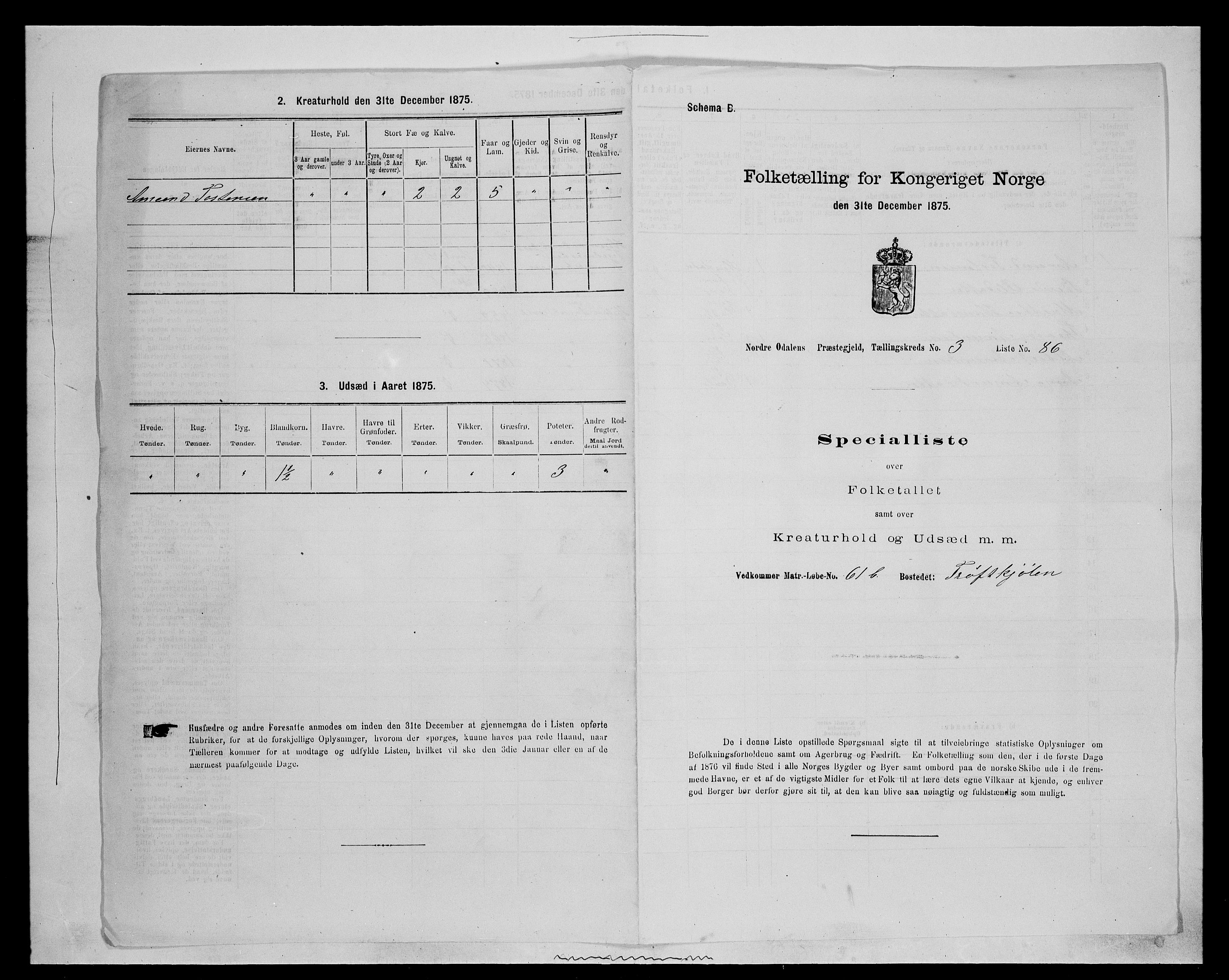 SAH, 1875 census for 0418P Nord-Odal, 1875, p. 542