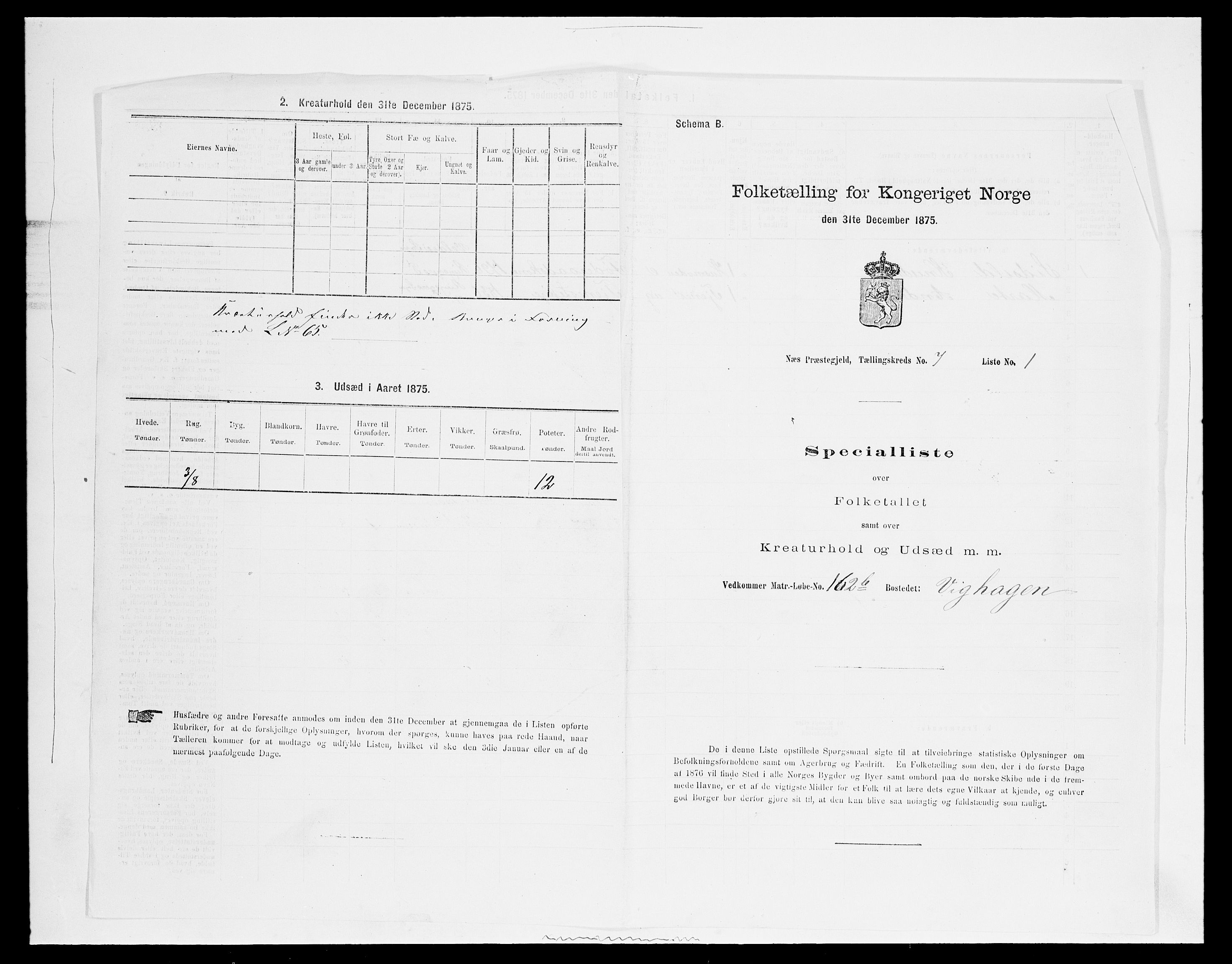 SAH, 1875 census for 0411P Nes, 1875, p. 1200