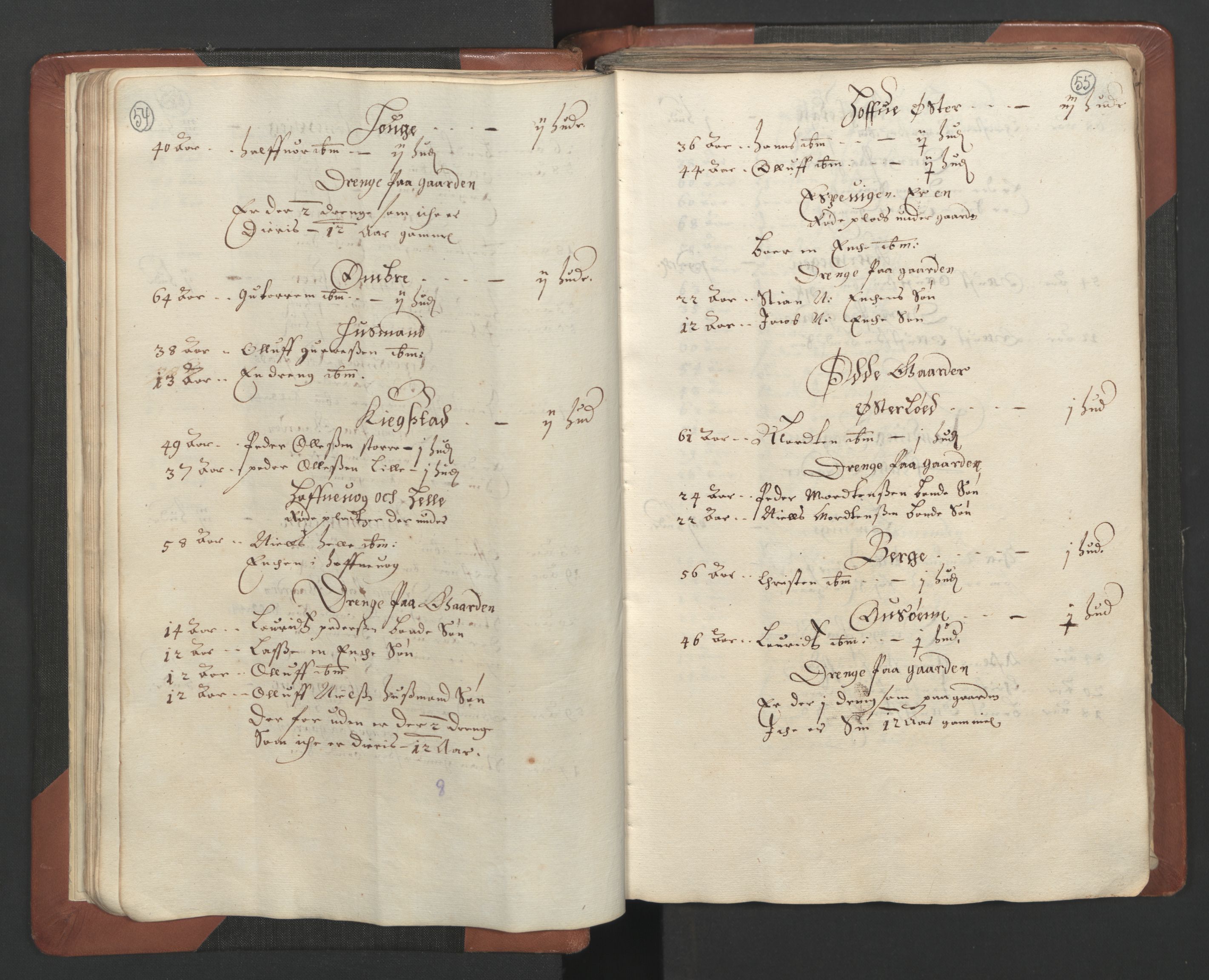 RA, Bailiff's Census 1664-1666, no. 7: Nedenes fogderi, 1664-1666, p. 54-55