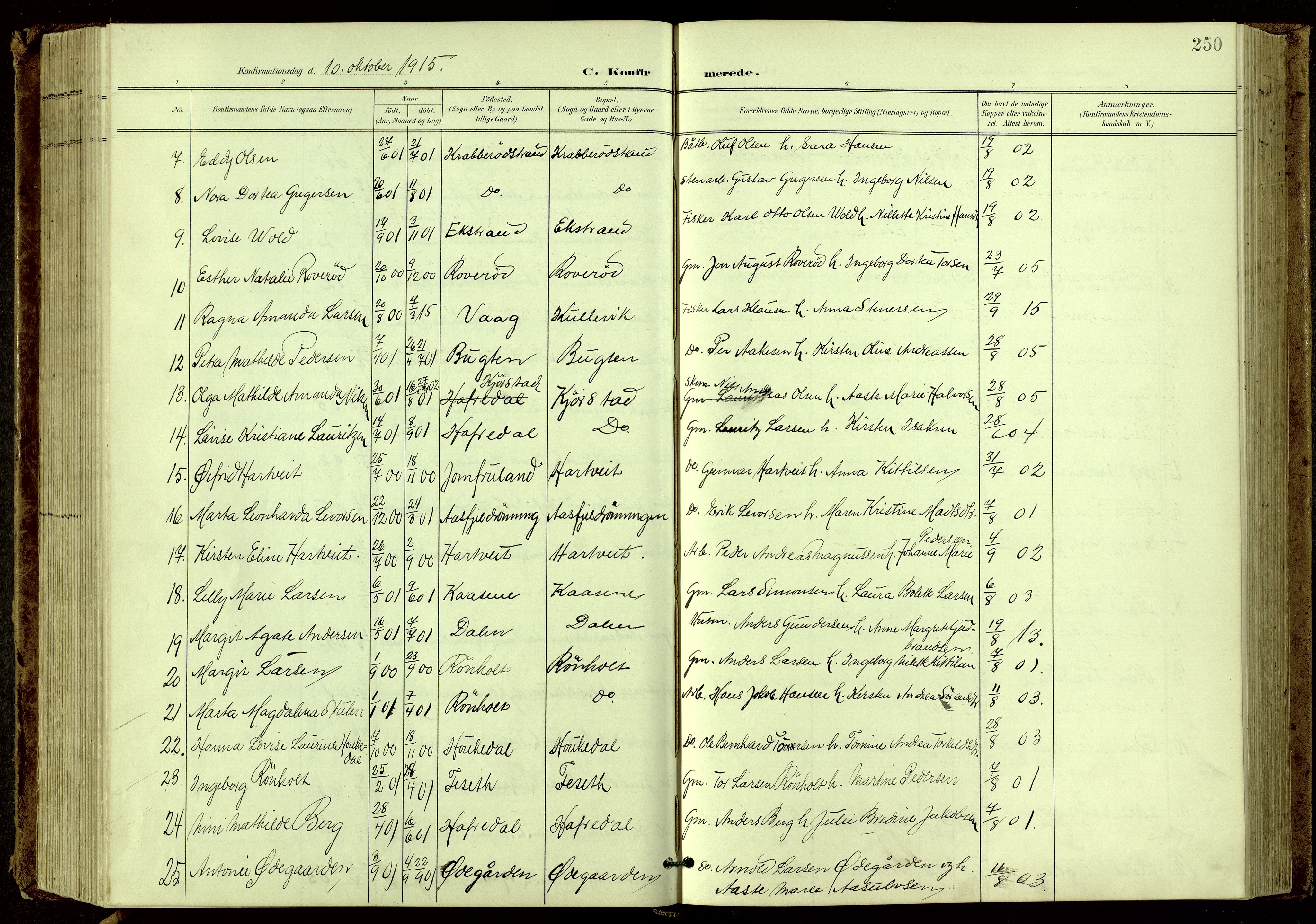 Bamble kirkebøker, SAKO/A-253/G/Ga/L0010: Parish register (copy) no. I 10, 1901-1919, p. 250