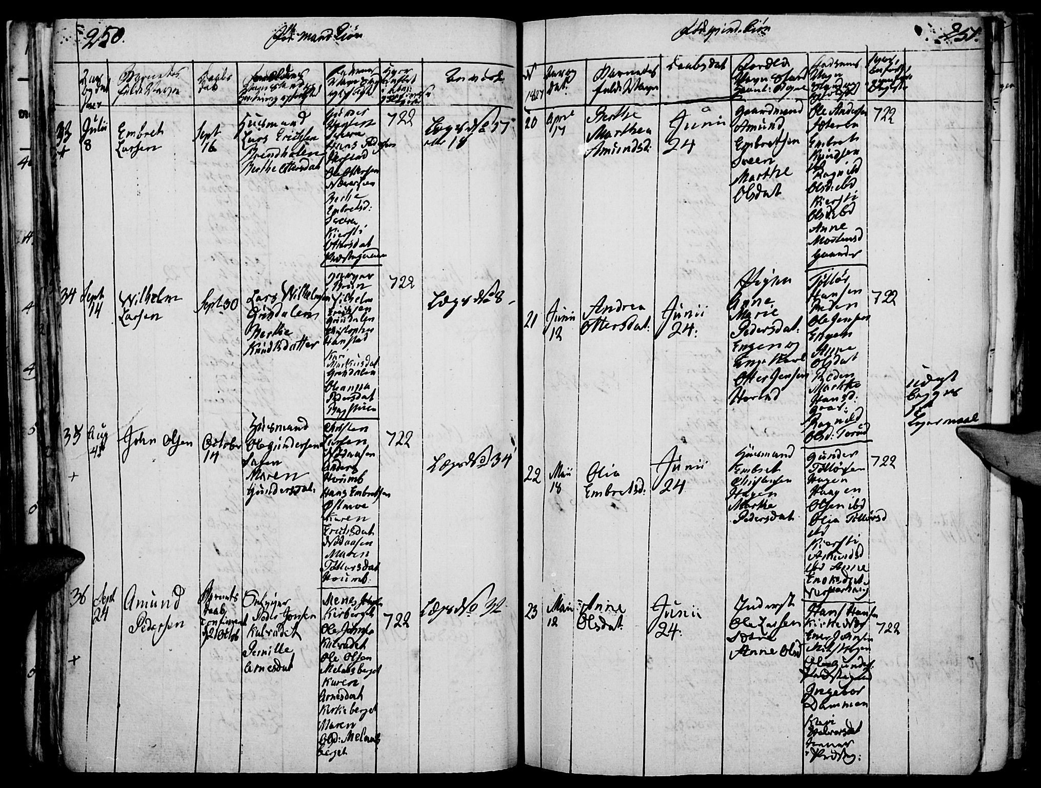 Elverum prestekontor, AV/SAH-PREST-044/H/Ha/Haa/L0007: Parish register (official) no. 7, 1815-1830, p. 250-251